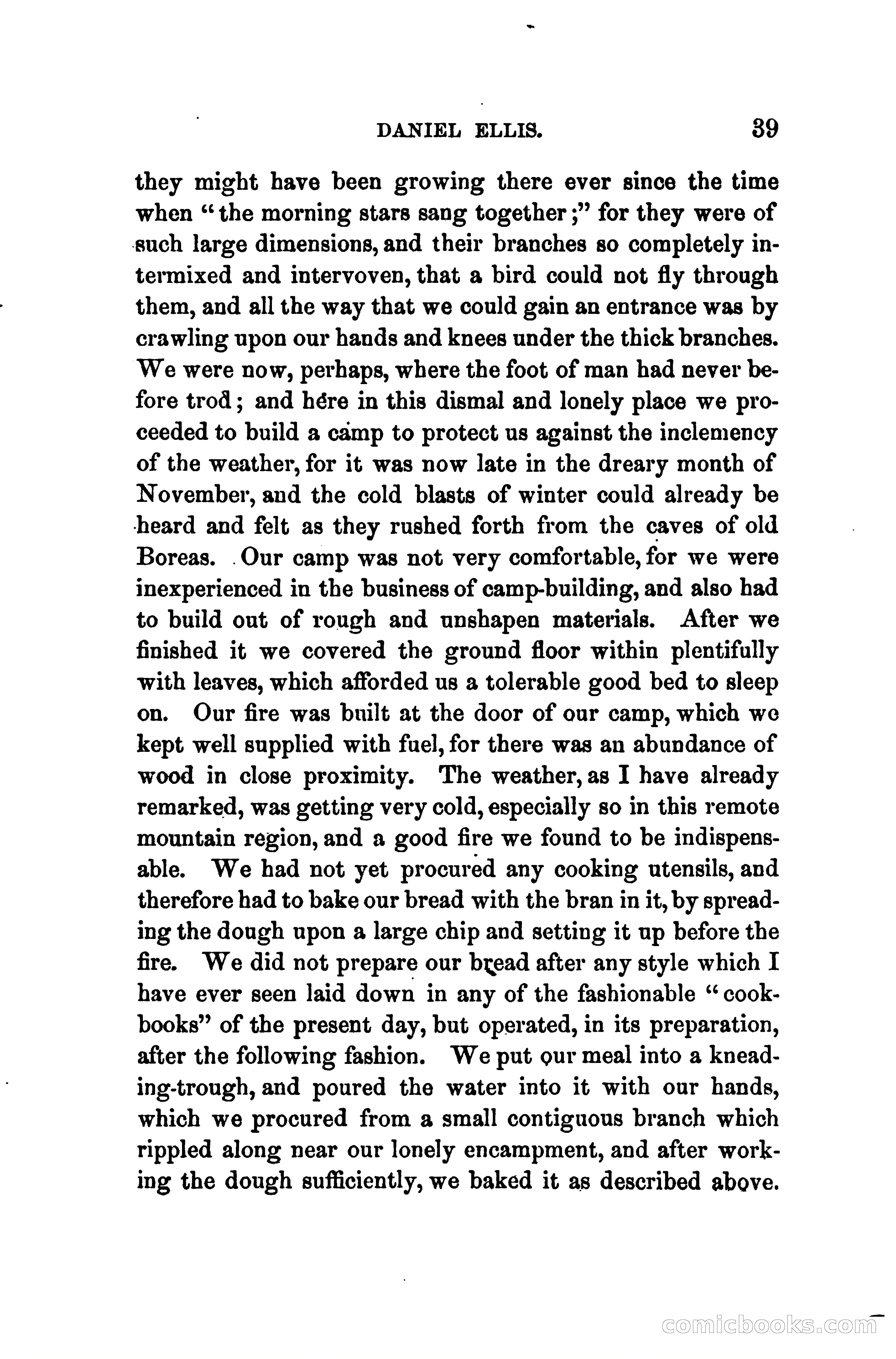 Thrilling Adventures of Daniel Ellis, the Great Union Guide of East Tennessee — page 49 of 399
