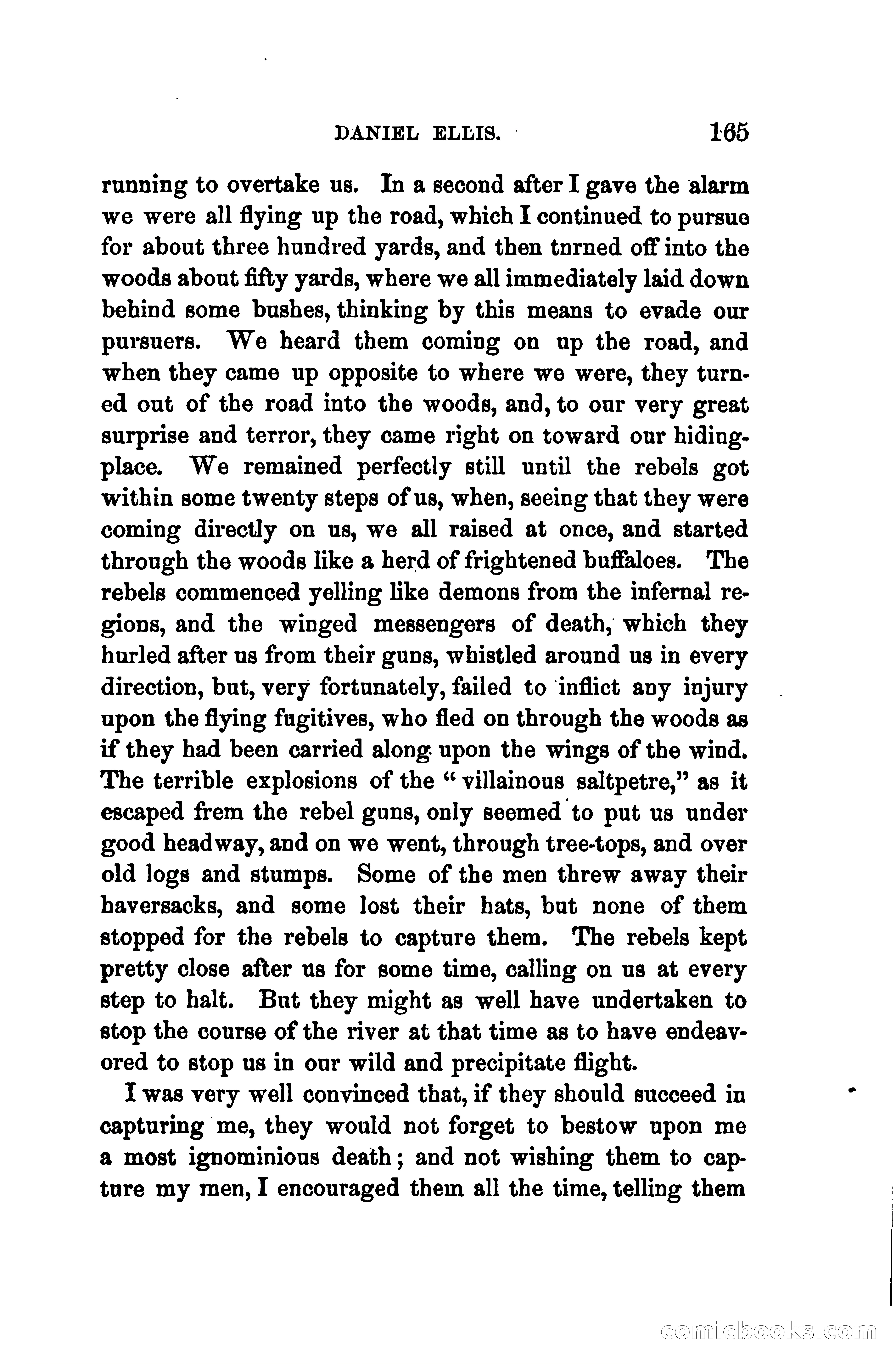 Thrilling Adventures of Daniel Ellis, the Great Union Guide of East Tennessee — page 175 of 399
