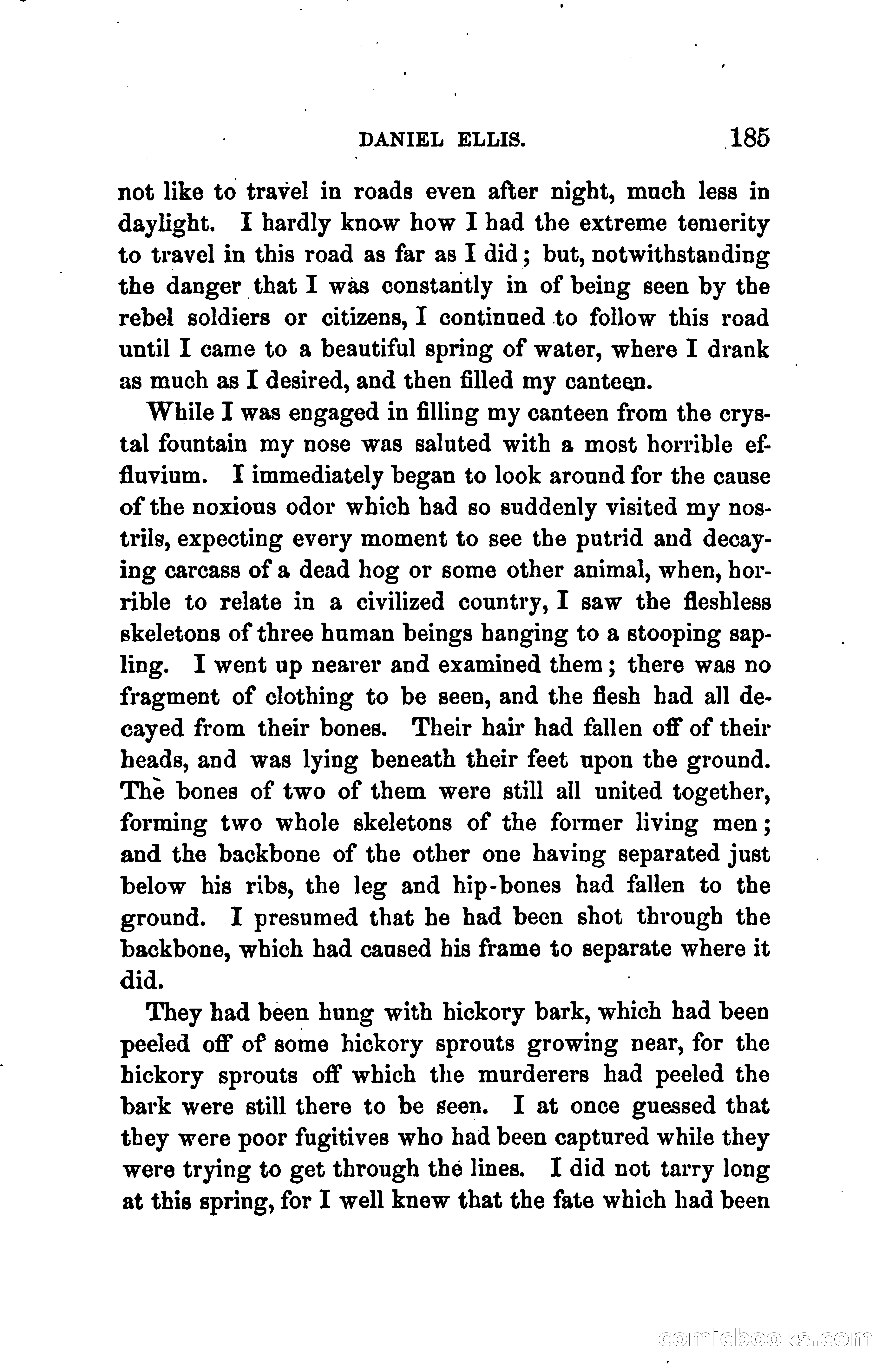 Thrilling Adventures of Daniel Ellis, the Great Union Guide of East Tennessee — page 195 of 399