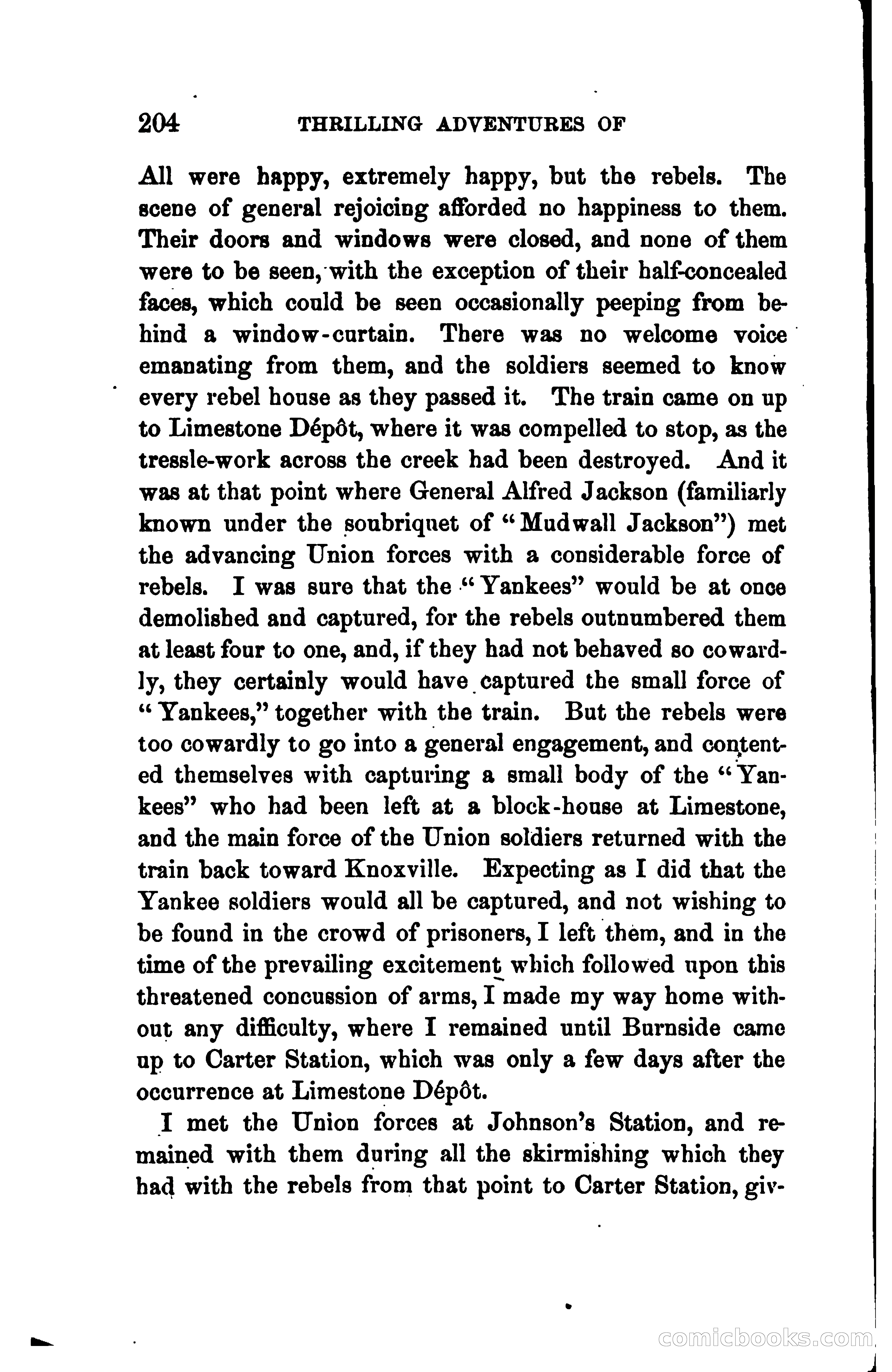 Thrilling Adventures of Daniel Ellis, the Great Union Guide of East Tennessee — page 214 of 399