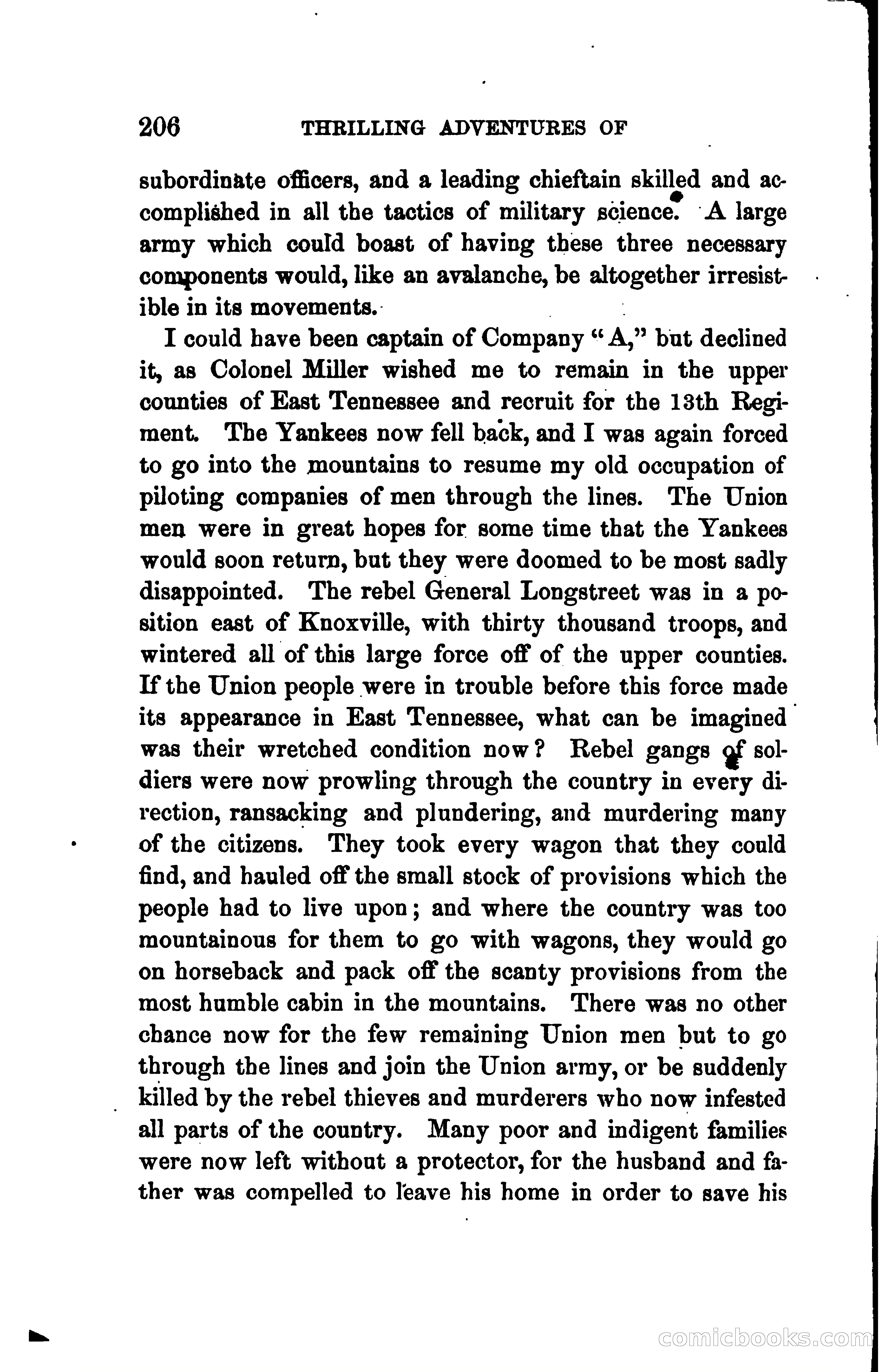 Thrilling Adventures of Daniel Ellis, the Great Union Guide of East Tennessee — page 216 of 399