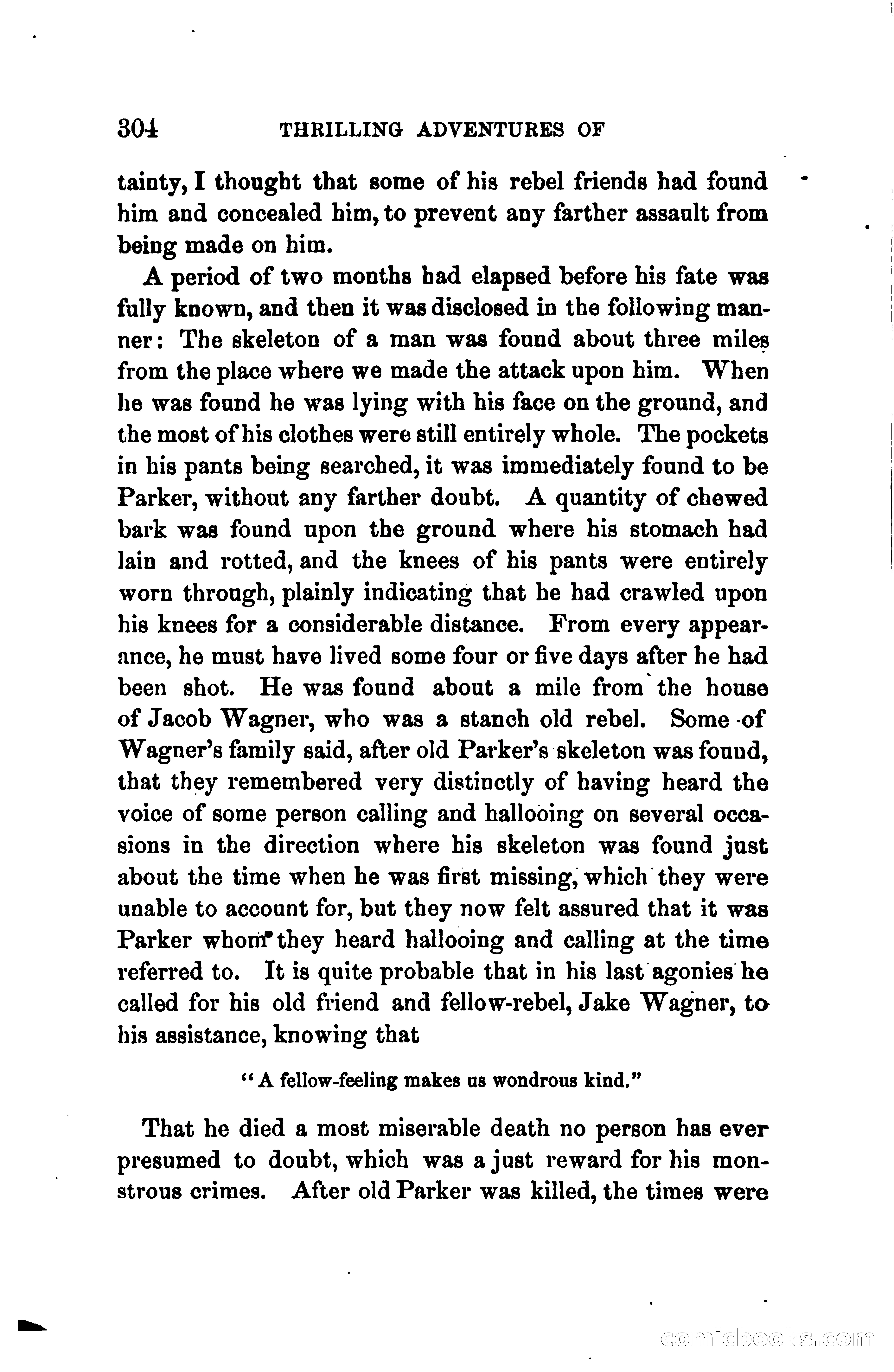 Thrilling Adventures of Daniel Ellis, the Great Union Guide of East Tennessee — page 314 of 399