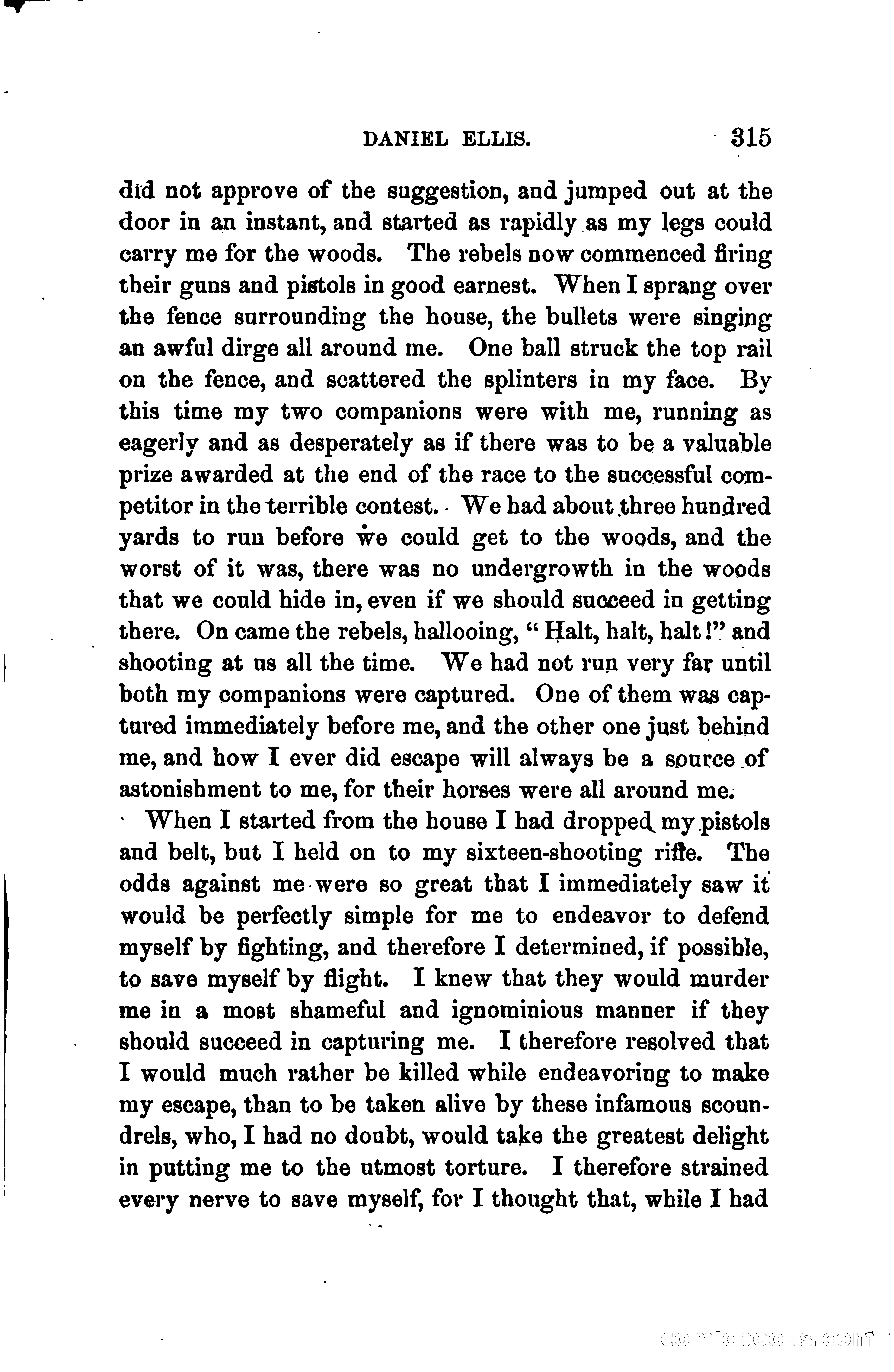 Thrilling Adventures of Daniel Ellis, the Great Union Guide of East Tennessee — page 325 of 399