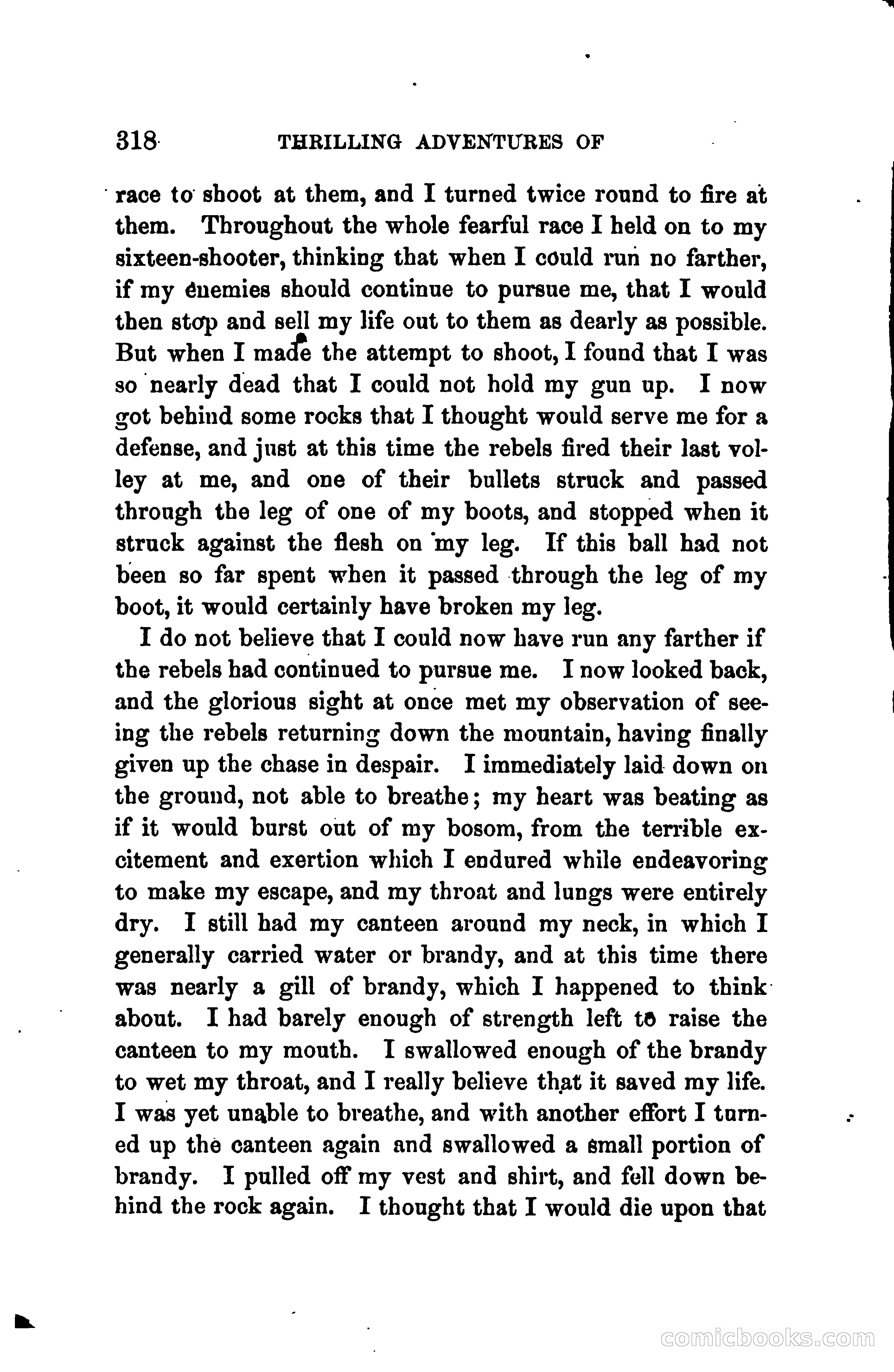 Thrilling Adventures of Daniel Ellis, the Great Union Guide of East Tennessee — page 328 of 399