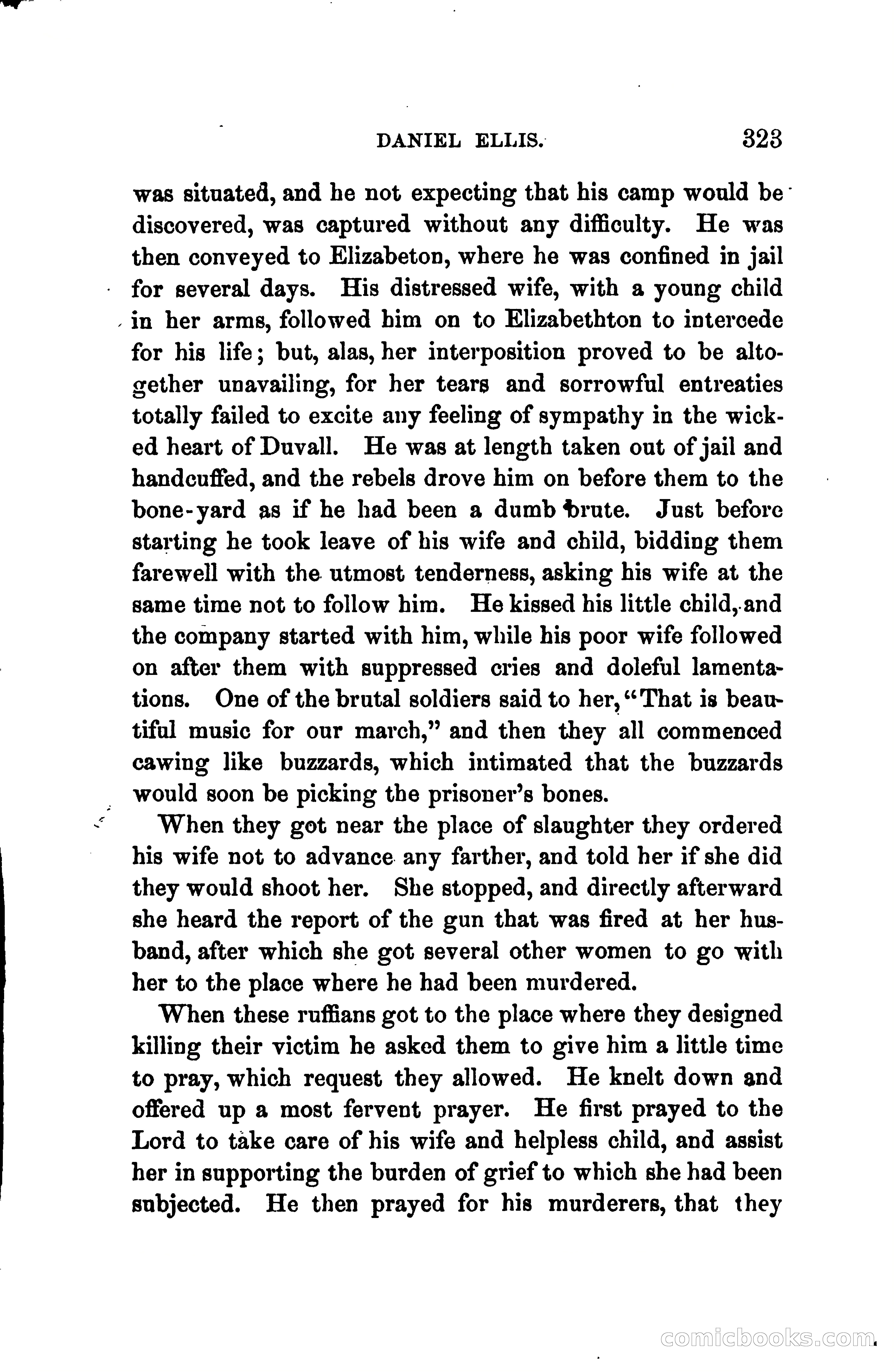 Thrilling Adventures of Daniel Ellis, the Great Union Guide of East Tennessee — page 333 of 399