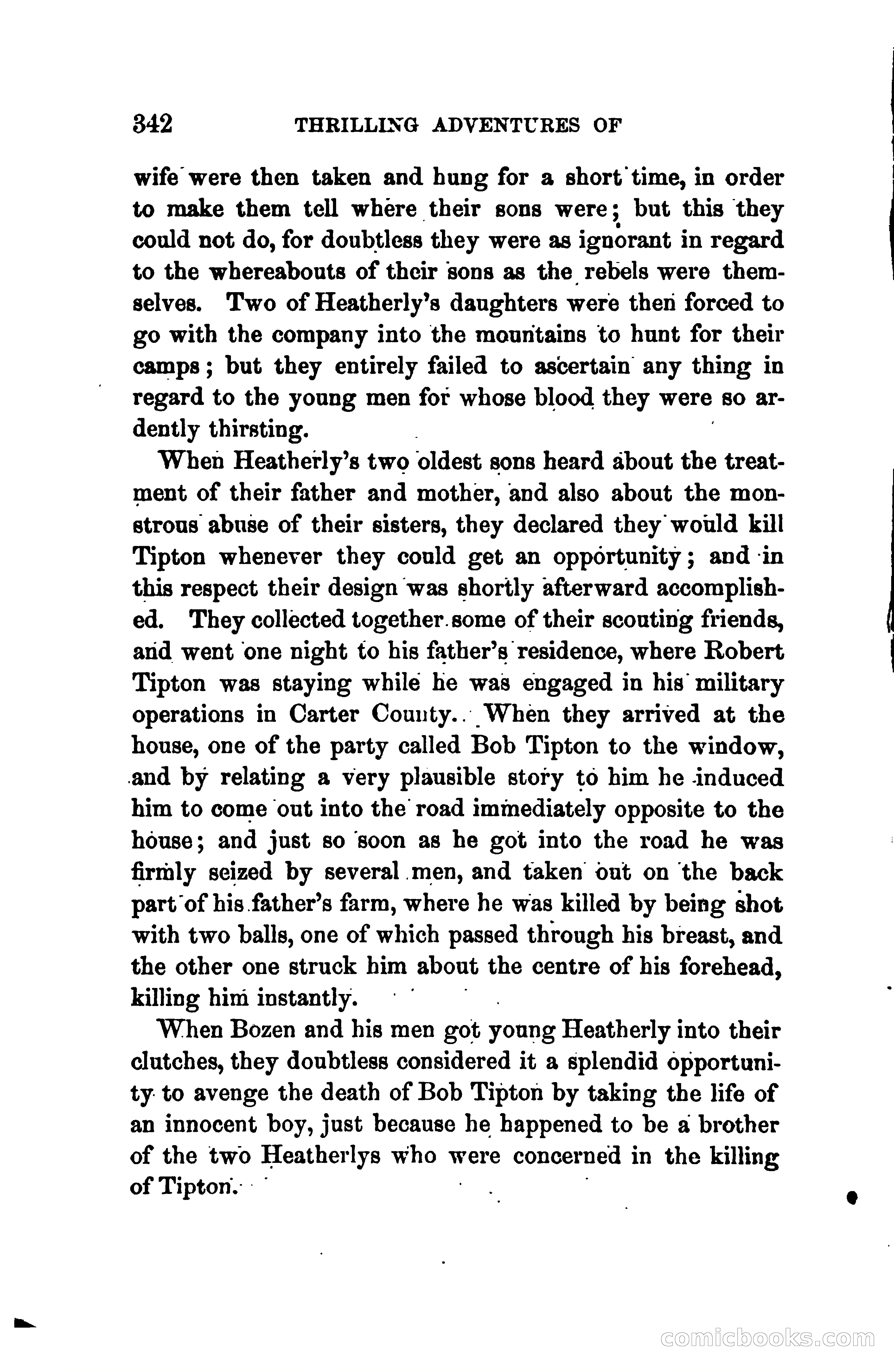 Thrilling Adventures of Daniel Ellis, the Great Union Guide of East Tennessee — page 352 of 399