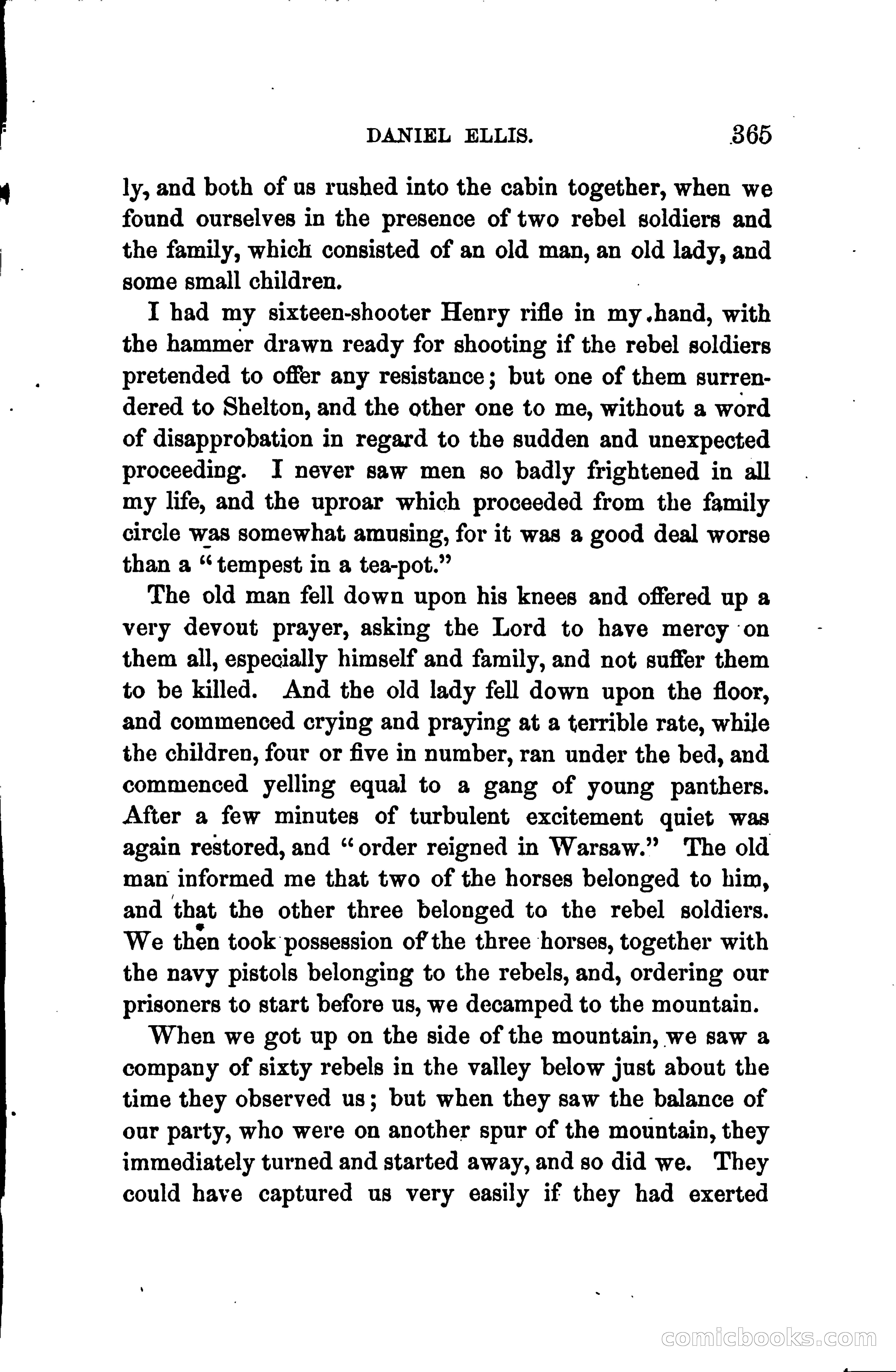 Thrilling Adventures of Daniel Ellis, the Great Union Guide of East Tennessee — page 375 of 399