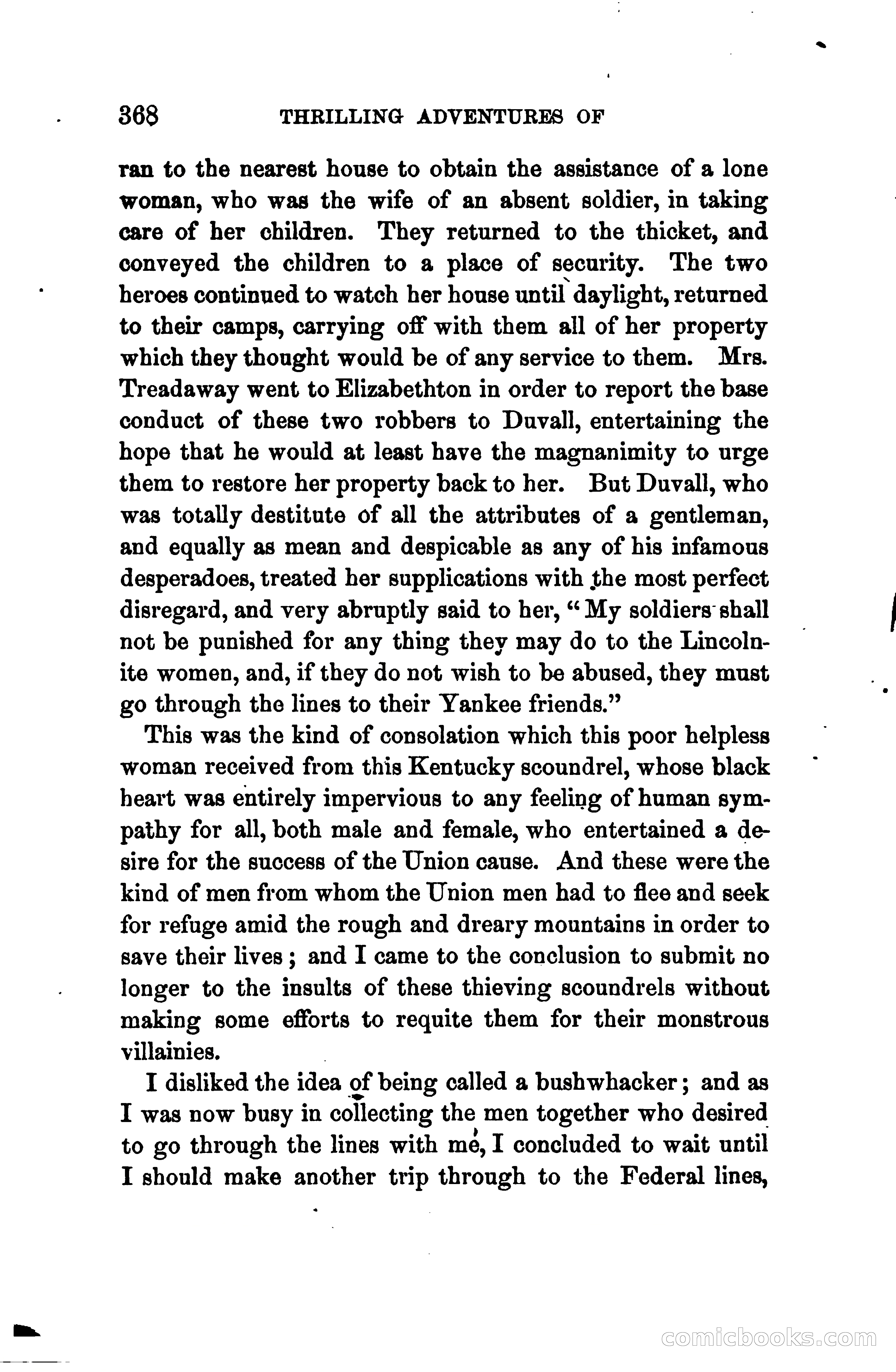 Thrilling Adventures of Daniel Ellis, the Great Union Guide of East Tennessee — page 378 of 399