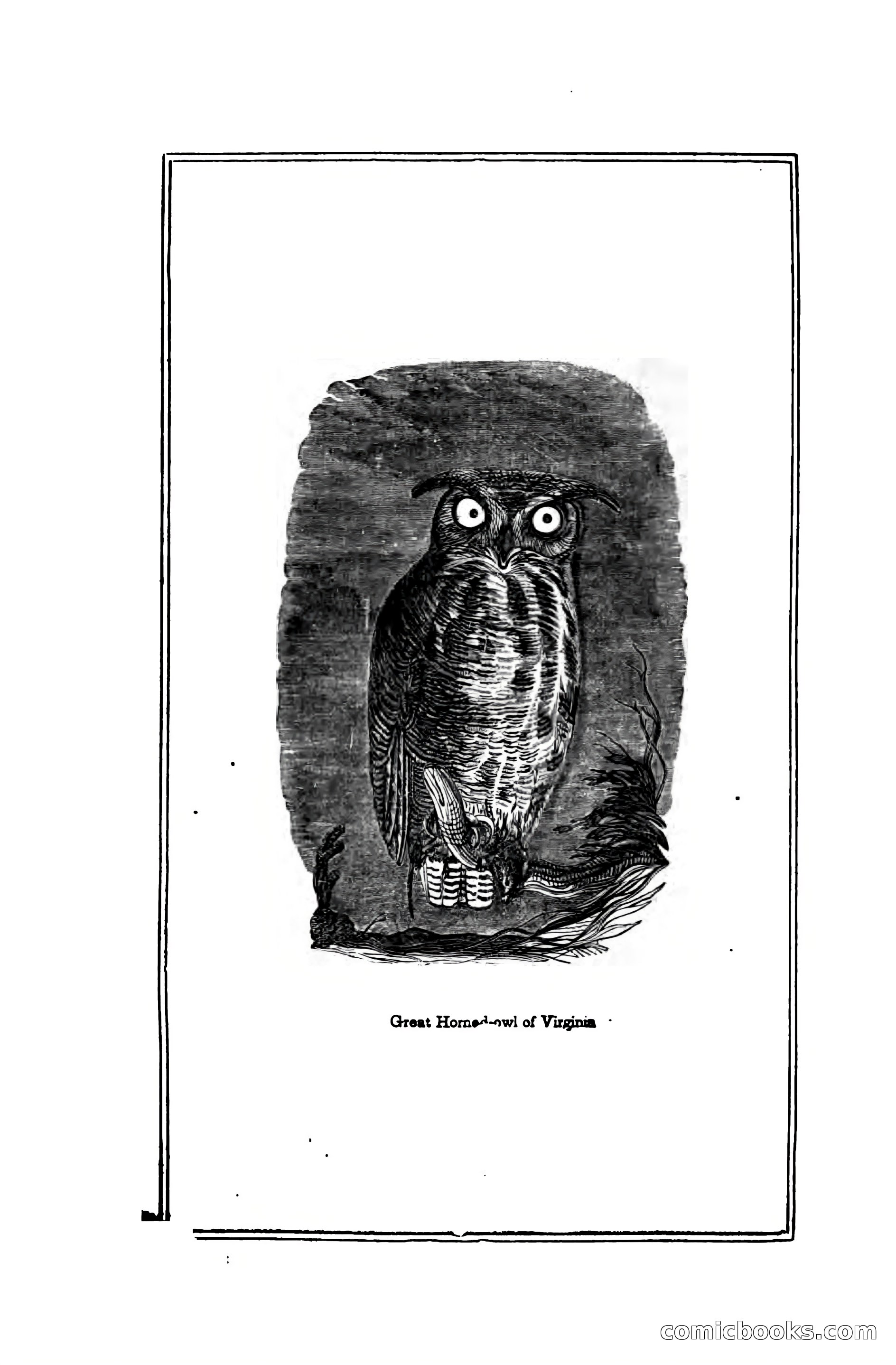 Thrilling Adventures Among the Indians — page 141 of 391