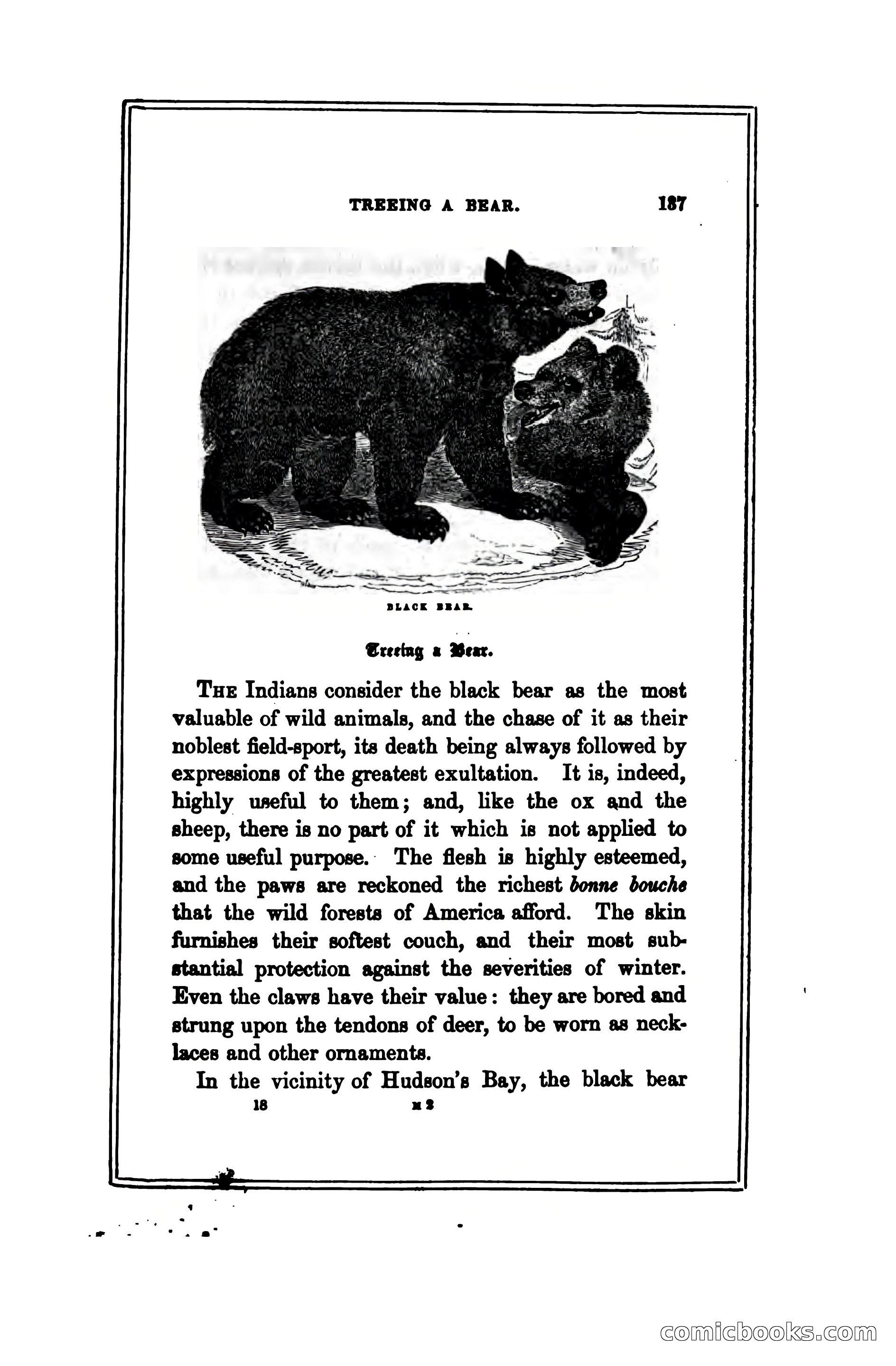 Thrilling Adventures Among the Indians — page 146 of 391