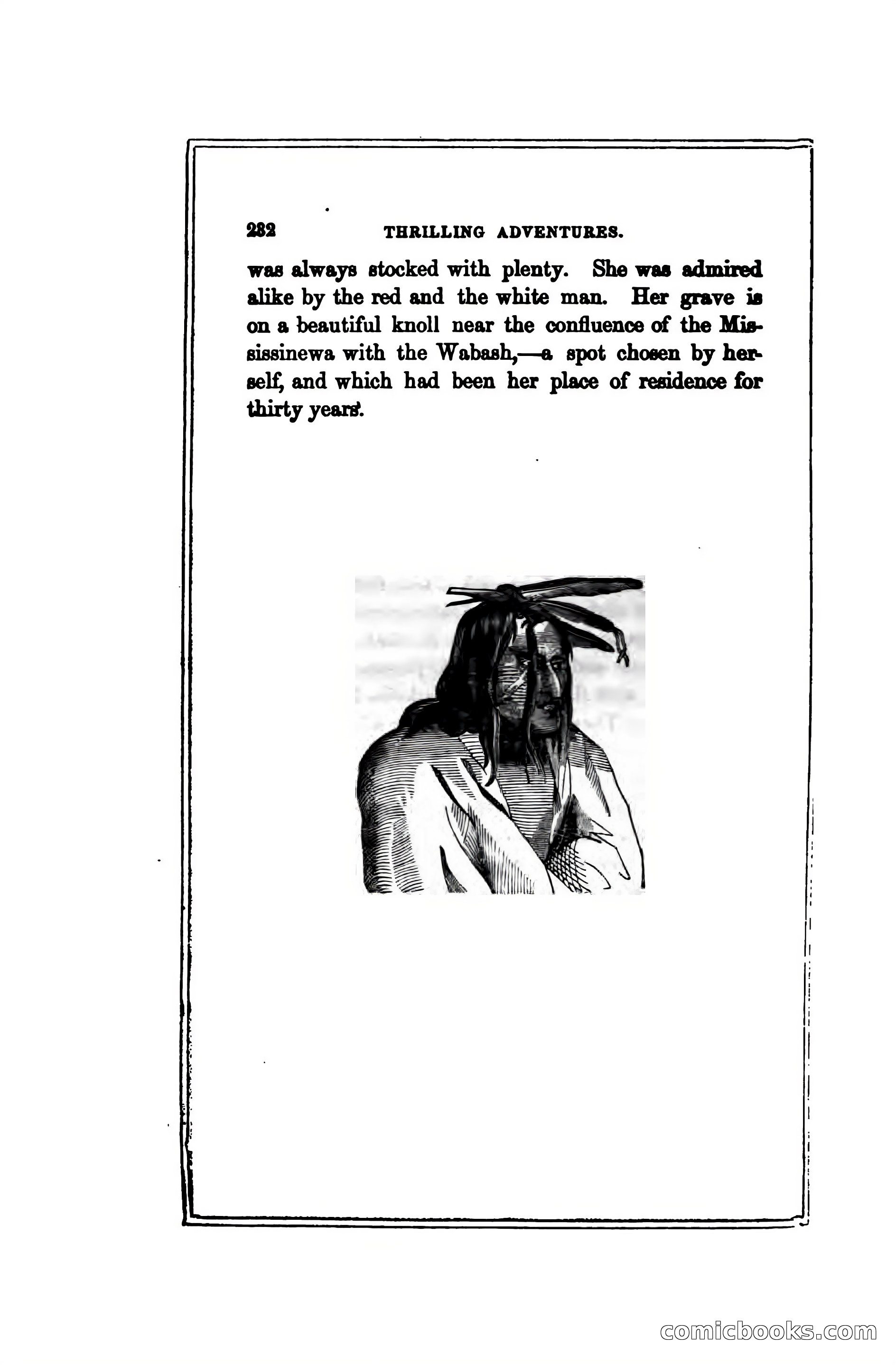 Thrilling Adventures Among the Indians — page 241 of 391