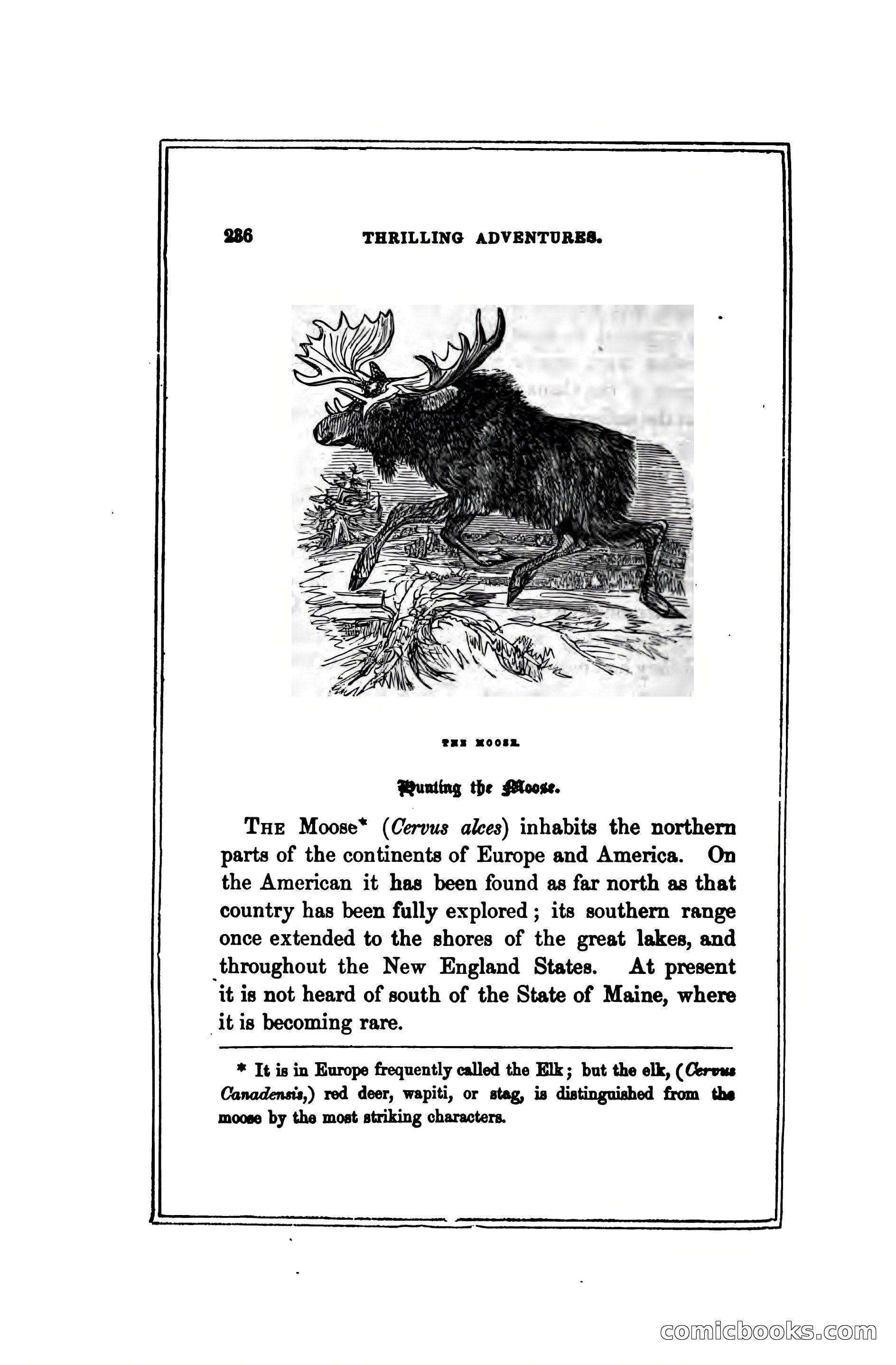 Thrilling Adventures Among the Indians — page 245 of 391