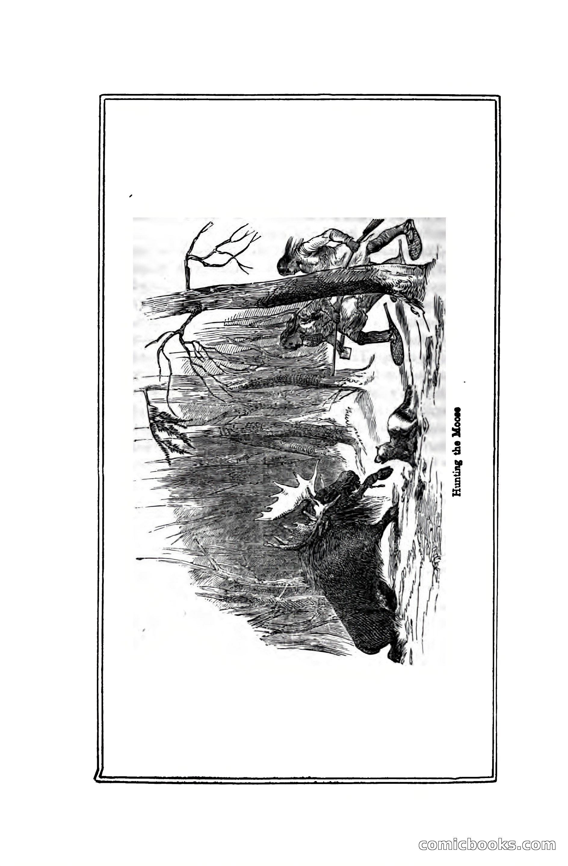 Thrilling Adventures Among the Indians — page 249 of 391