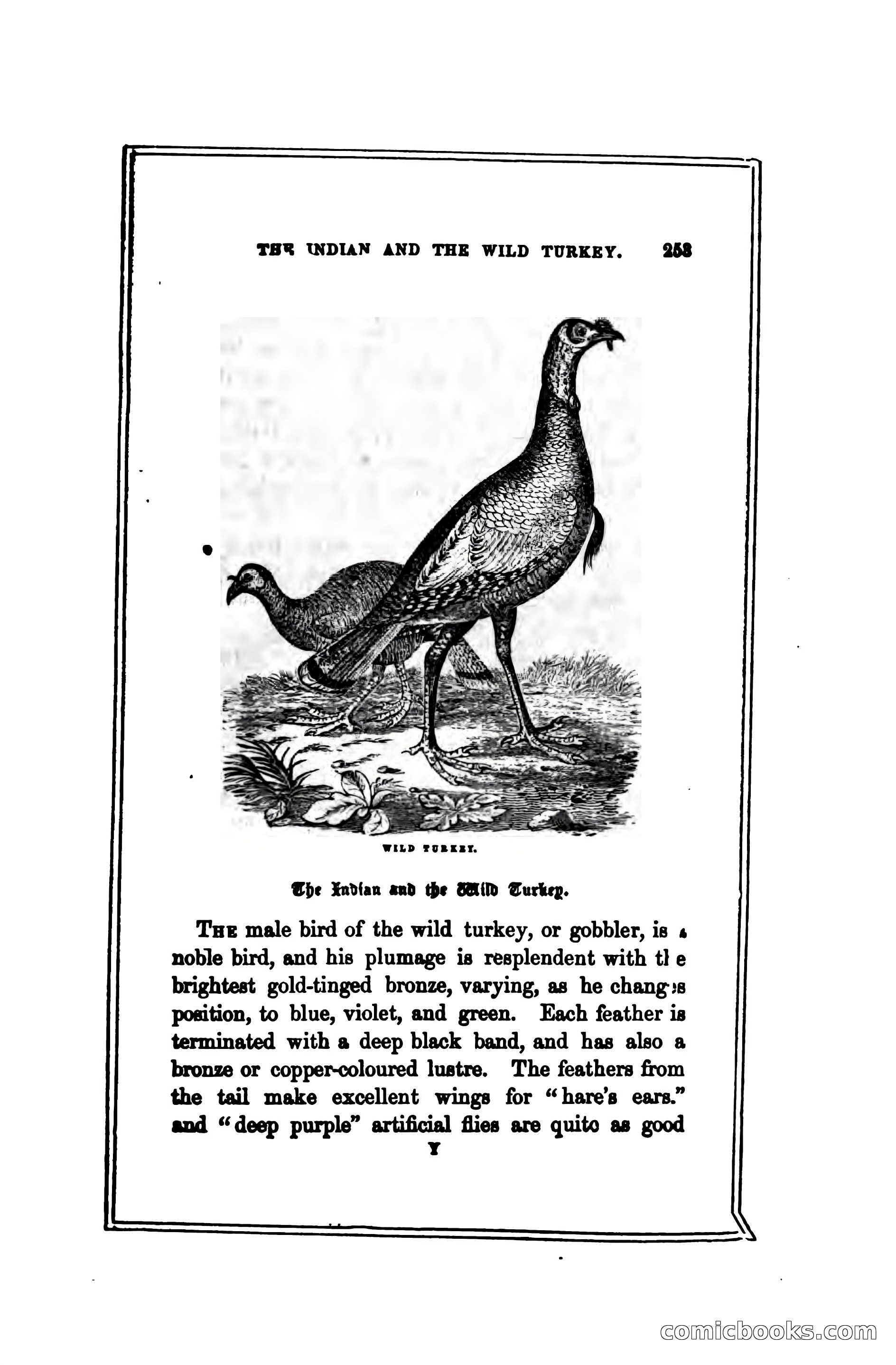 Thrilling Adventures Among the Indians — page 262 of 391