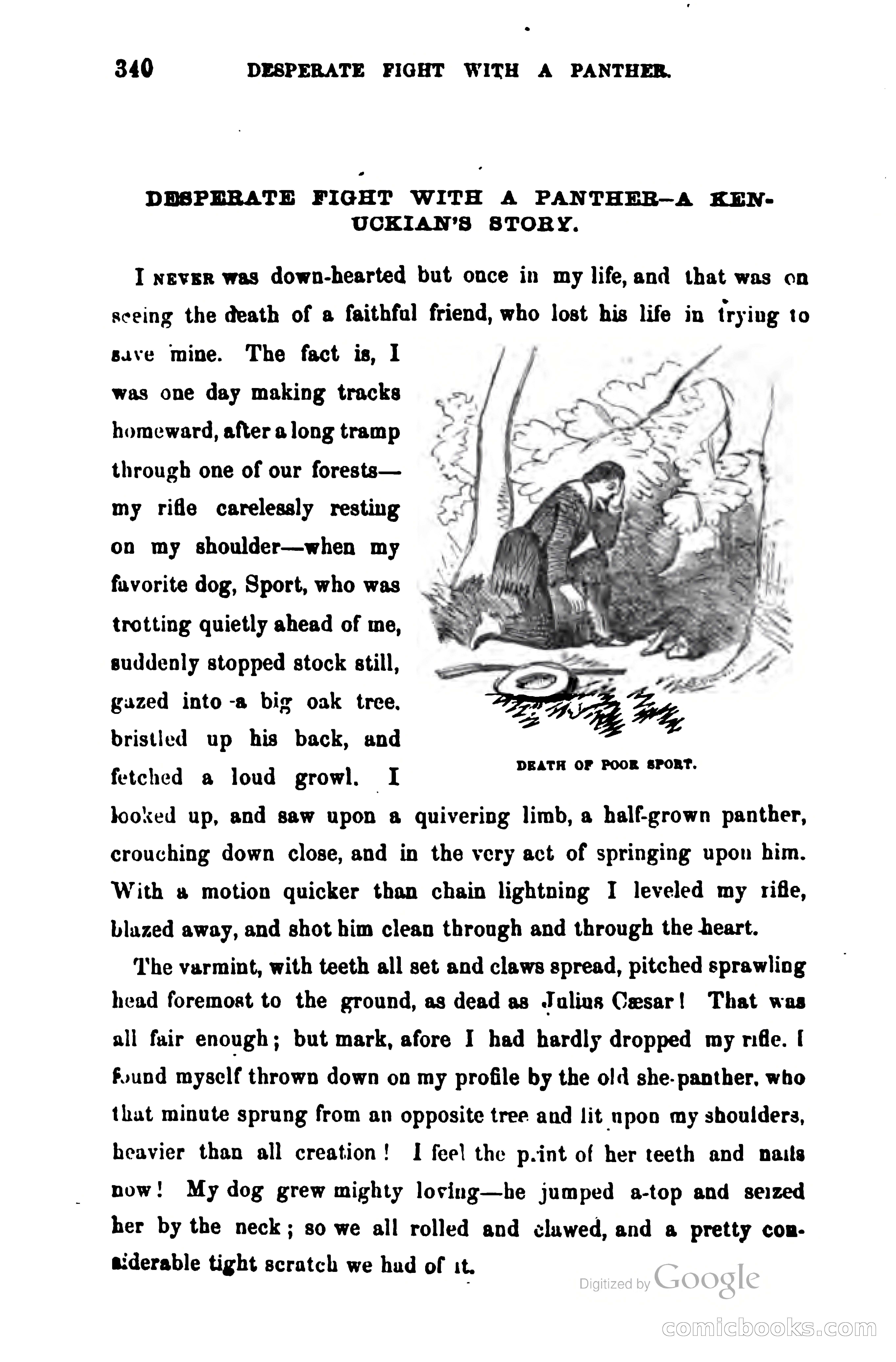 Thrilling Adventures Among the Early Settlers — page 351 of 385