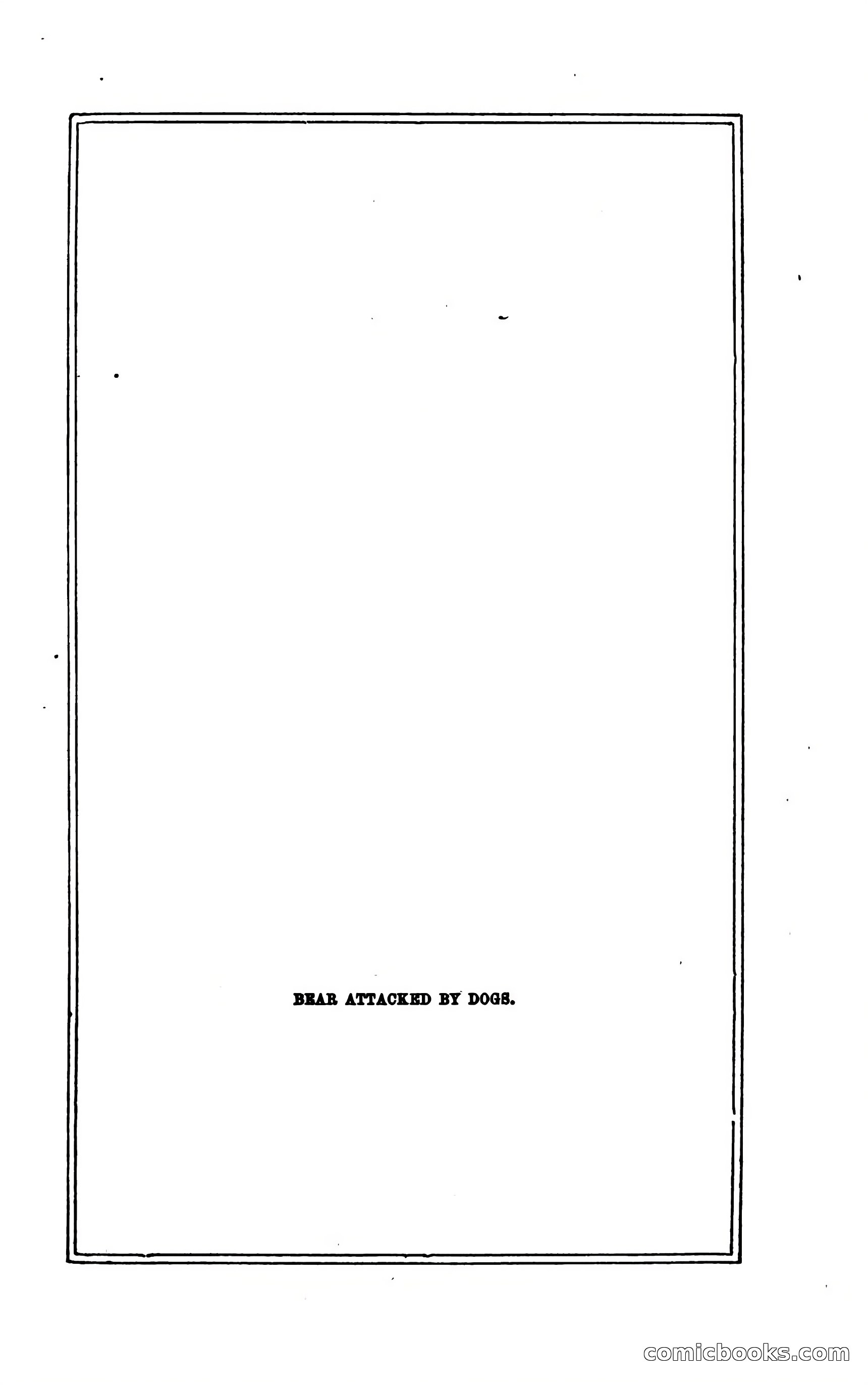 Thrilling Adventures of Hunters, in the Old World and the New — page 27 of 394