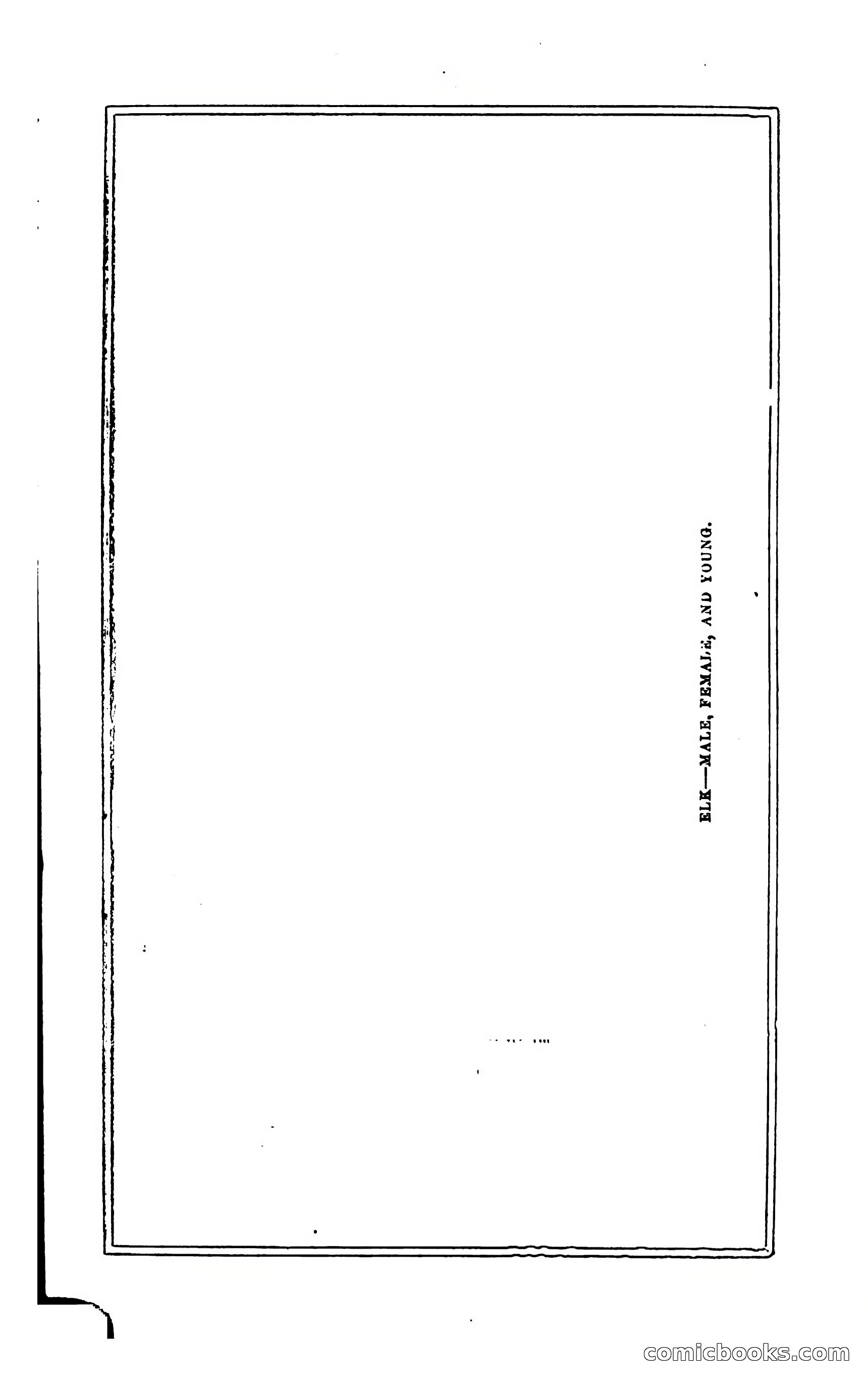 Thrilling Adventures of Hunters, in the Old World and the New — page 68 of 394