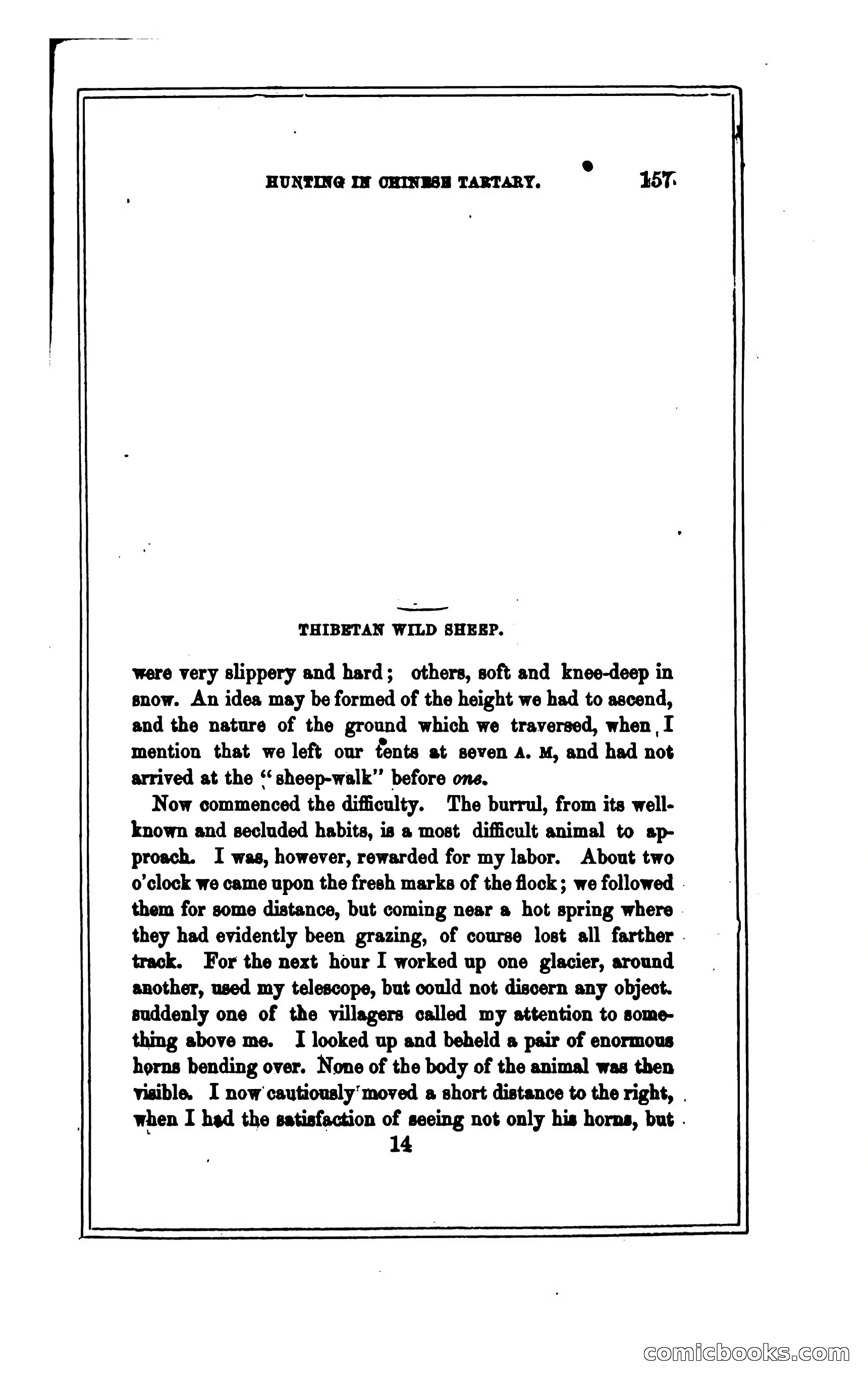 Thrilling Adventures of Hunters, in the Old World and the New — page 169 of 394