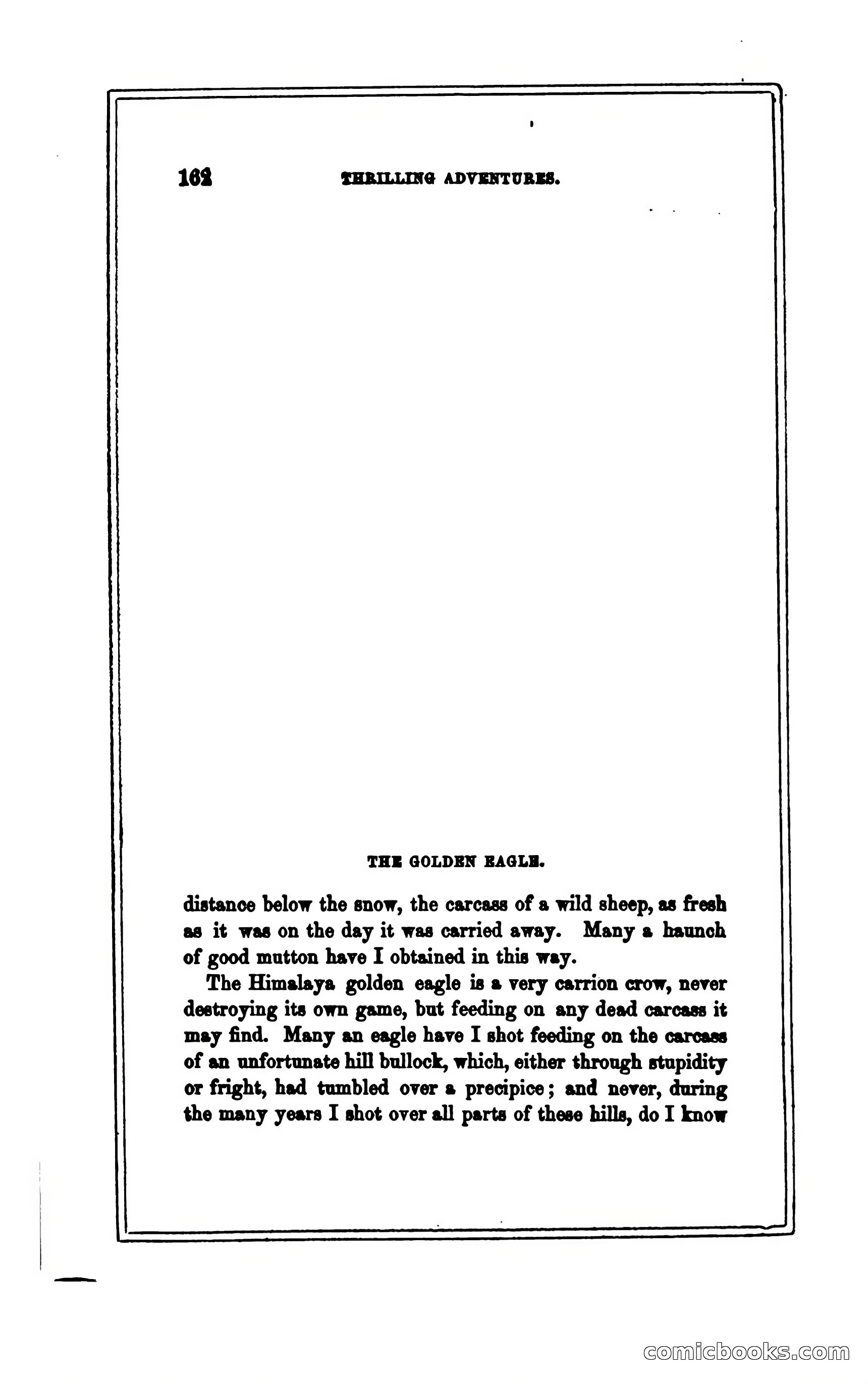 Thrilling Adventures of Hunters, in the Old World and the New — page 174 of 394