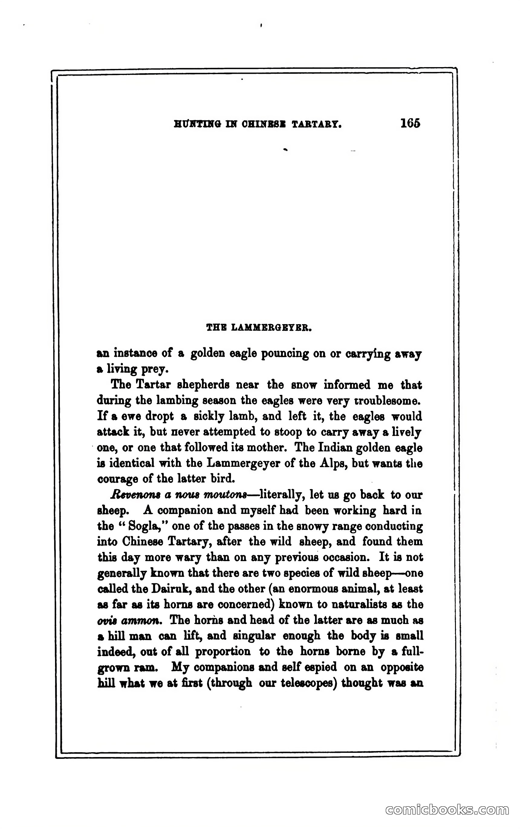 Thrilling Adventures of Hunters, in the Old World and the New — page 177 of 394