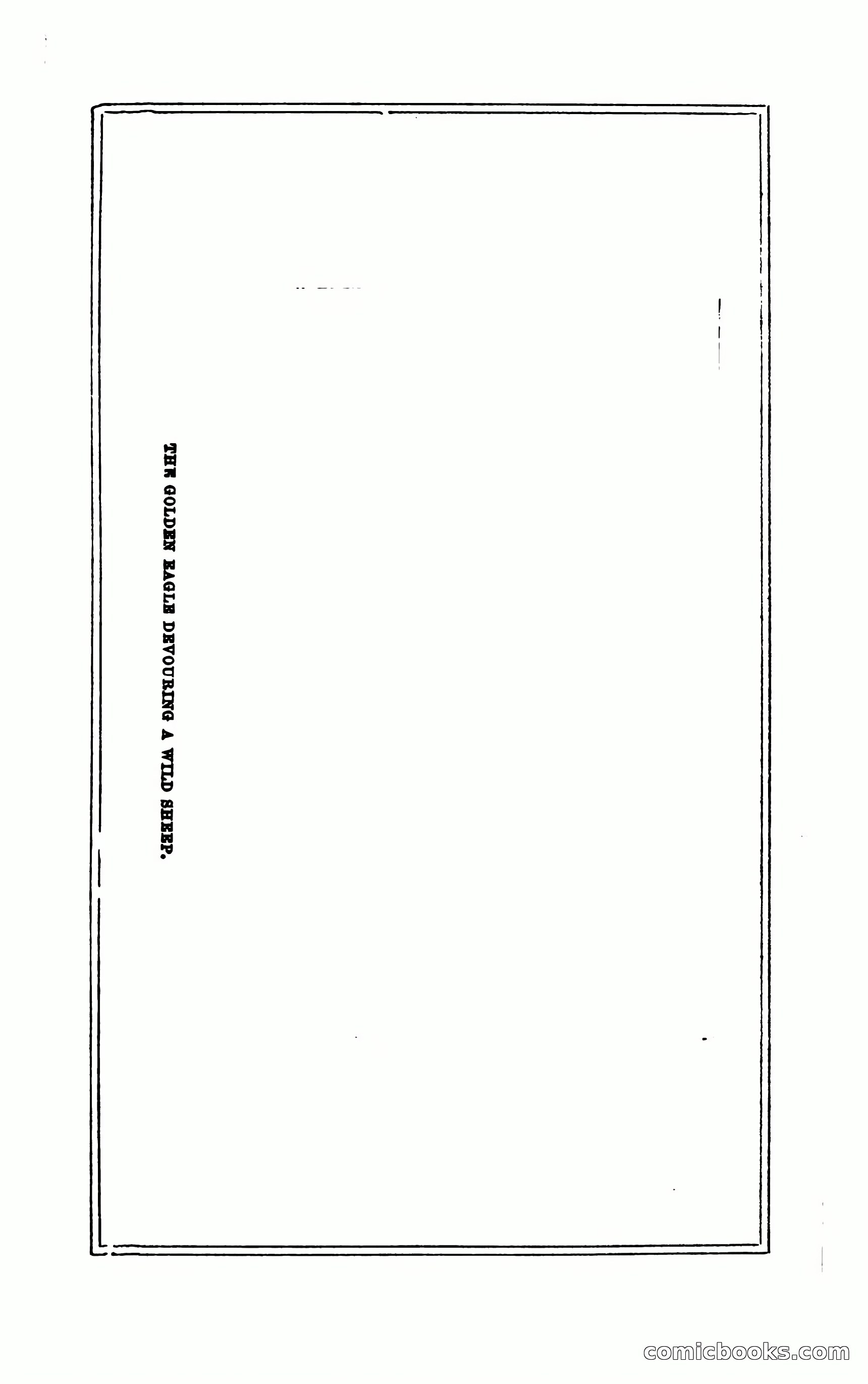 Thrilling Adventures of Hunters, in the Old World and the New — page 179 of 394