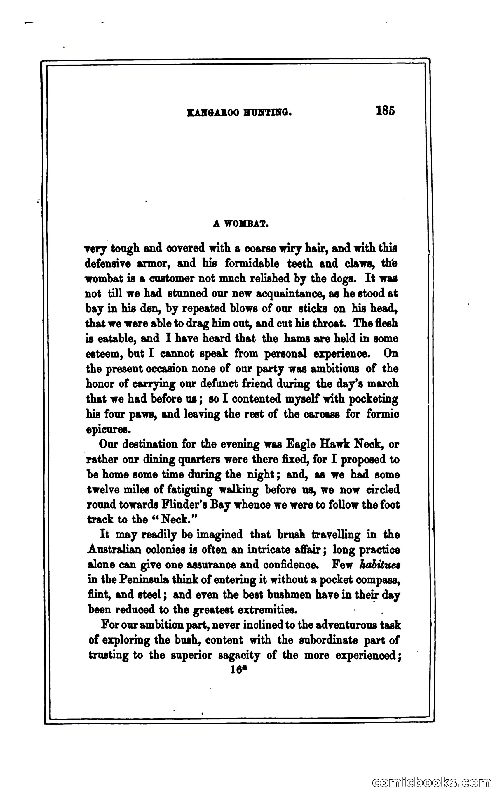 Thrilling Adventures of Hunters, in the Old World and the New — page 197 of 394