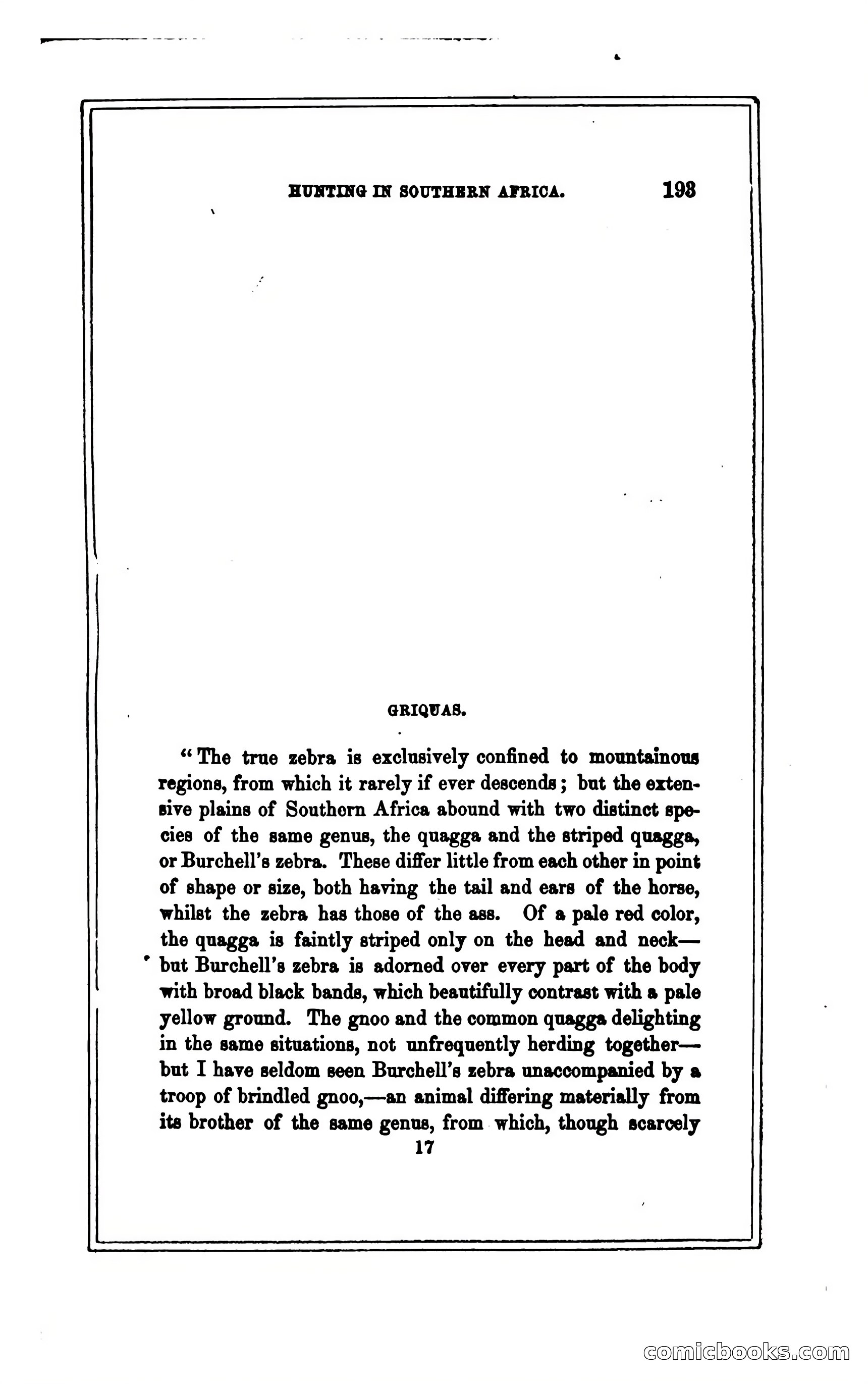 Thrilling Adventures of Hunters, in the Old World and the New — page 205 of 394