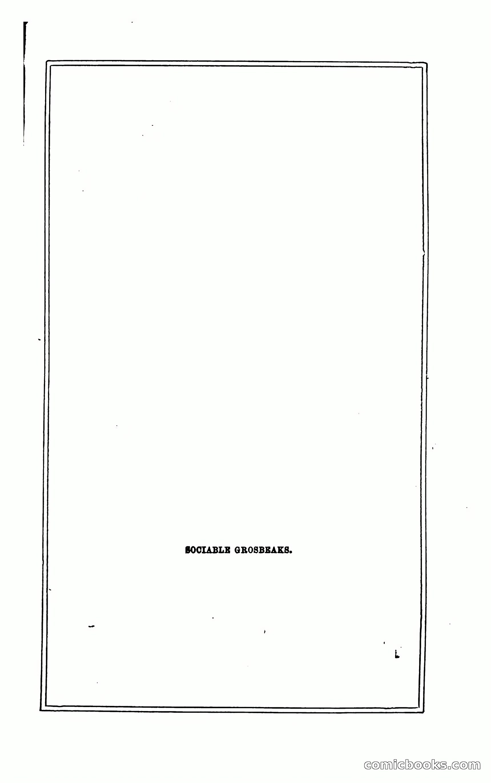 Thrilling Adventures of Hunters, in the Old World and the New — page 215 of 394