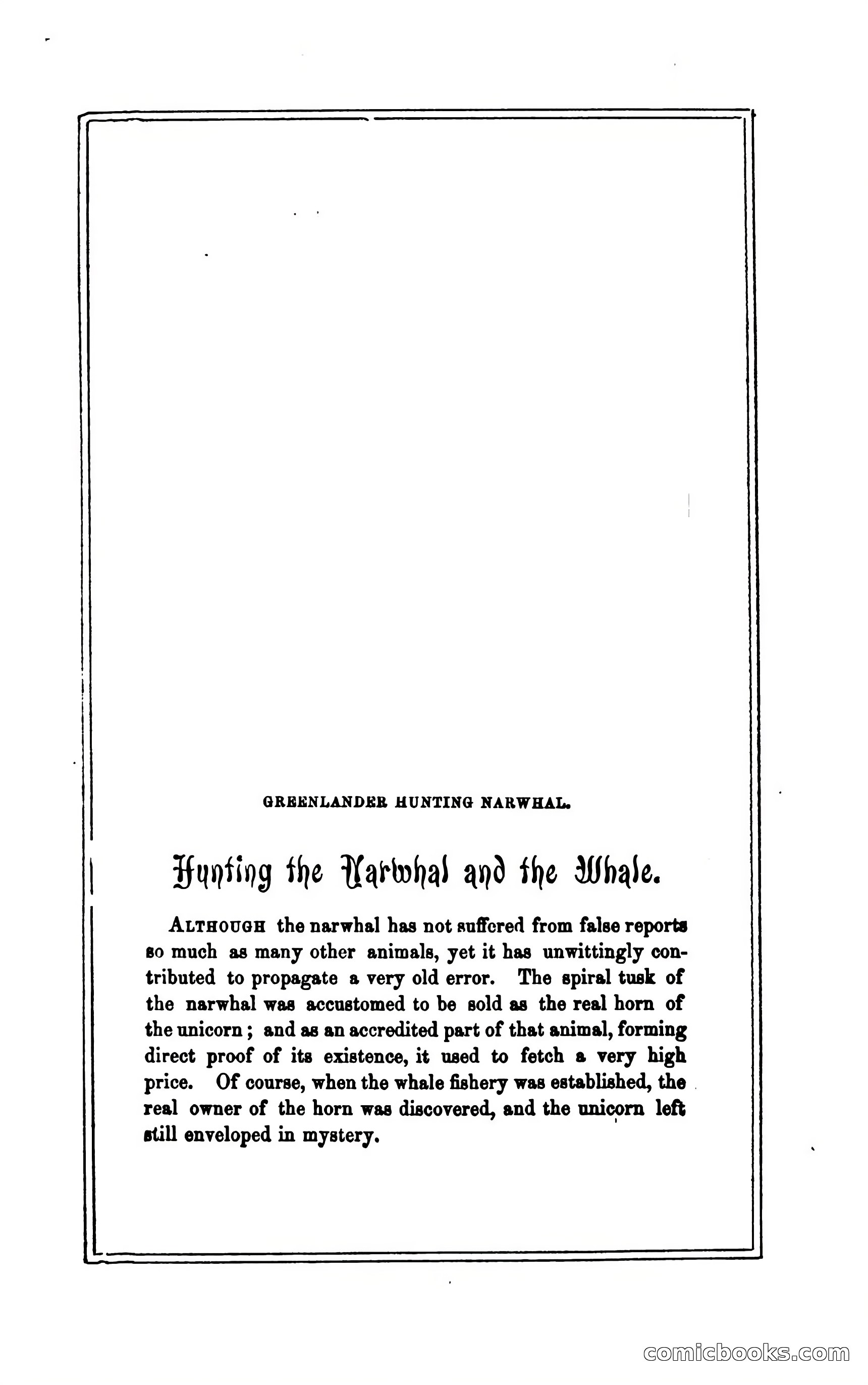 Thrilling Adventures of Hunters, in the Old World and the New — page 243 of 394