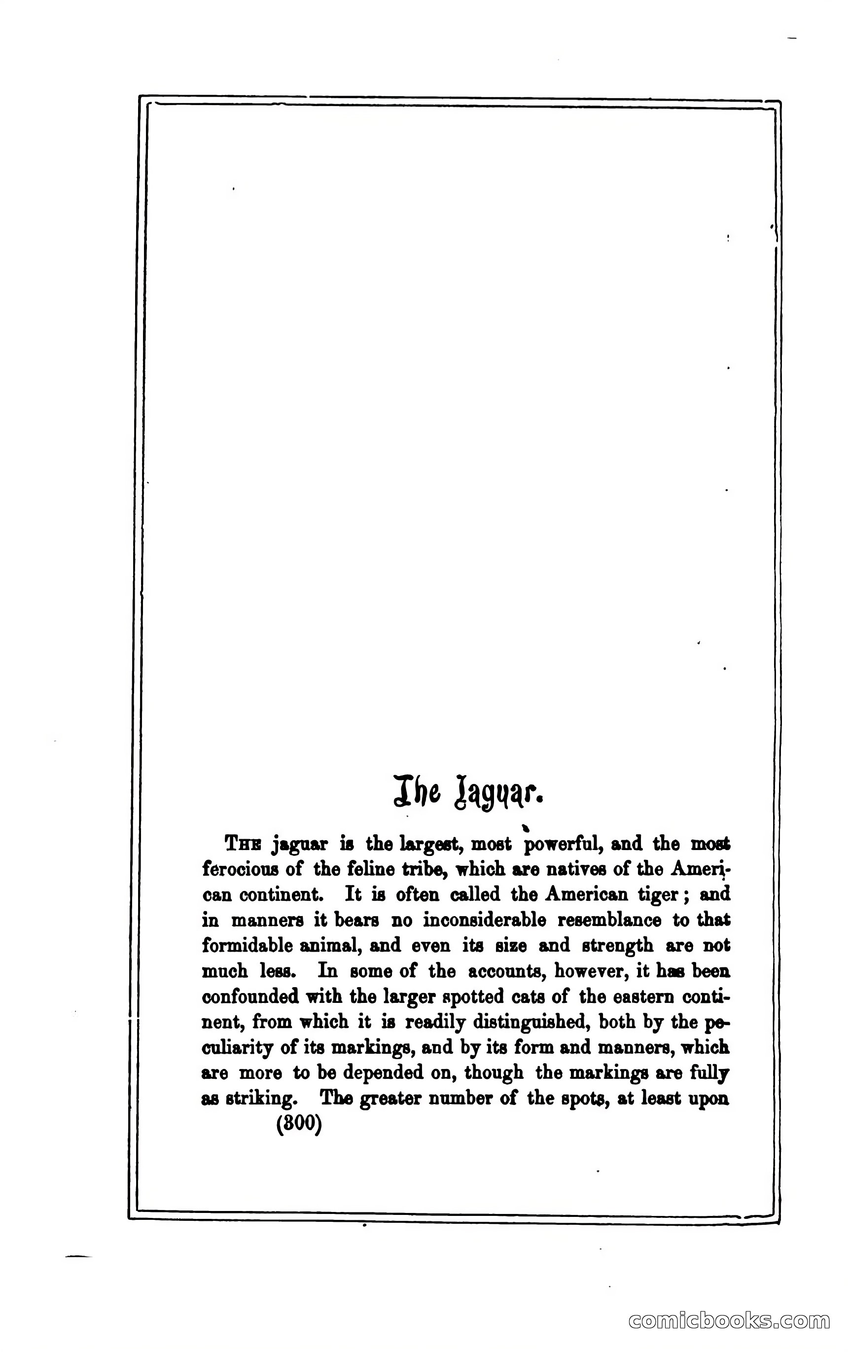 Thrilling Adventures of Hunters, in the Old World and the New — page 312 of 394