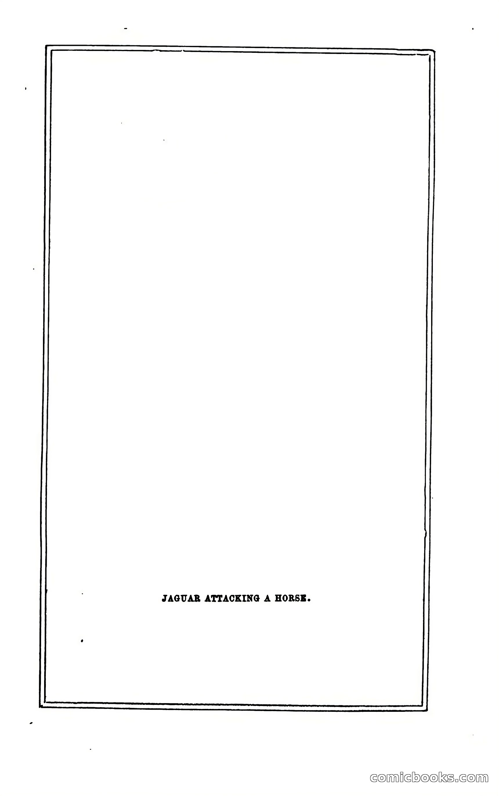 Thrilling Adventures of Hunters, in the Old World and the New — page 315 of 394
