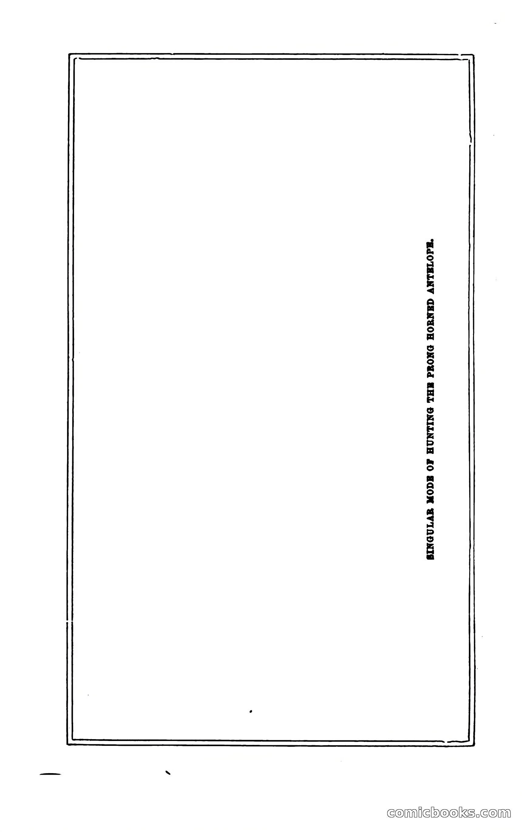 Thrilling Adventures of Hunters, in the Old World and the New — page 358 of 394