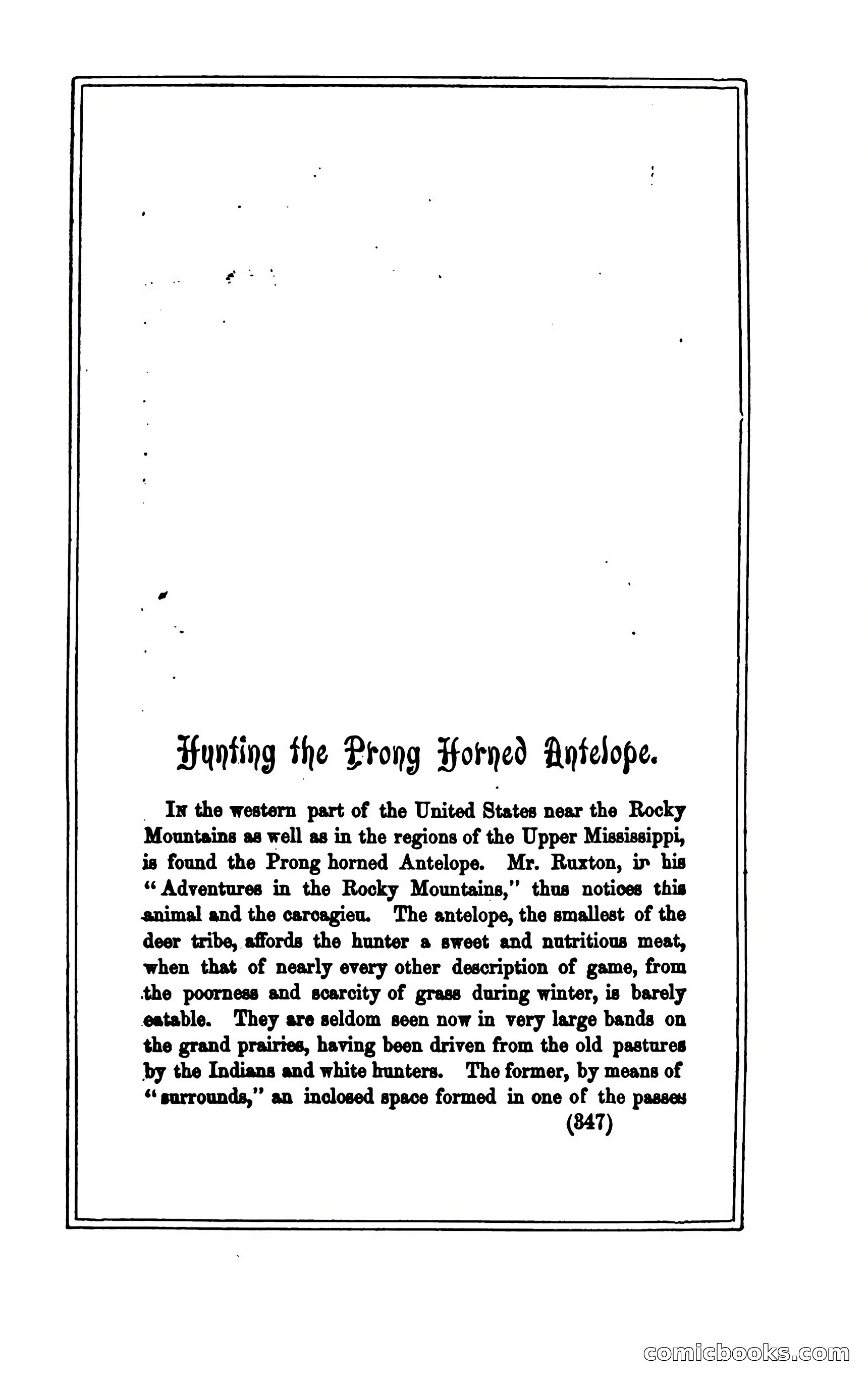 Thrilling Adventures of Hunters, in the Old World and the New — page 359 of 394