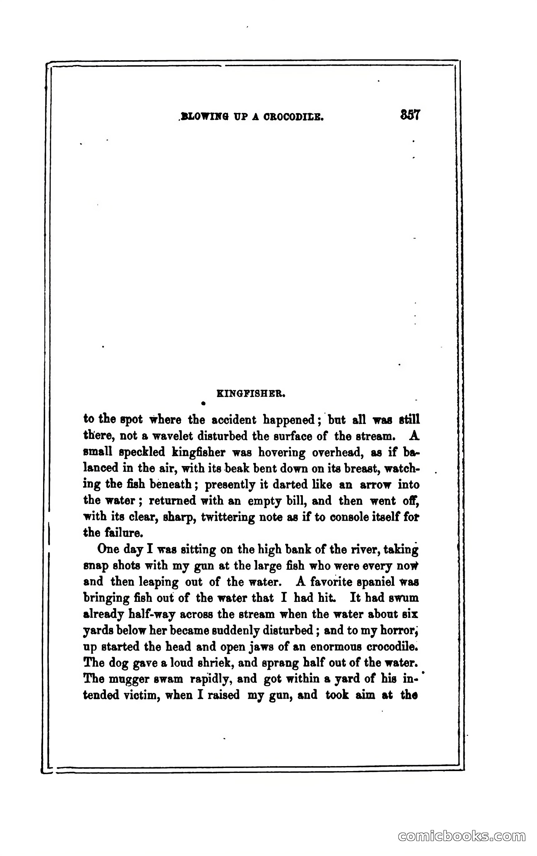 Thrilling Adventures of Hunters, in the Old World and the New — page 369 of 394