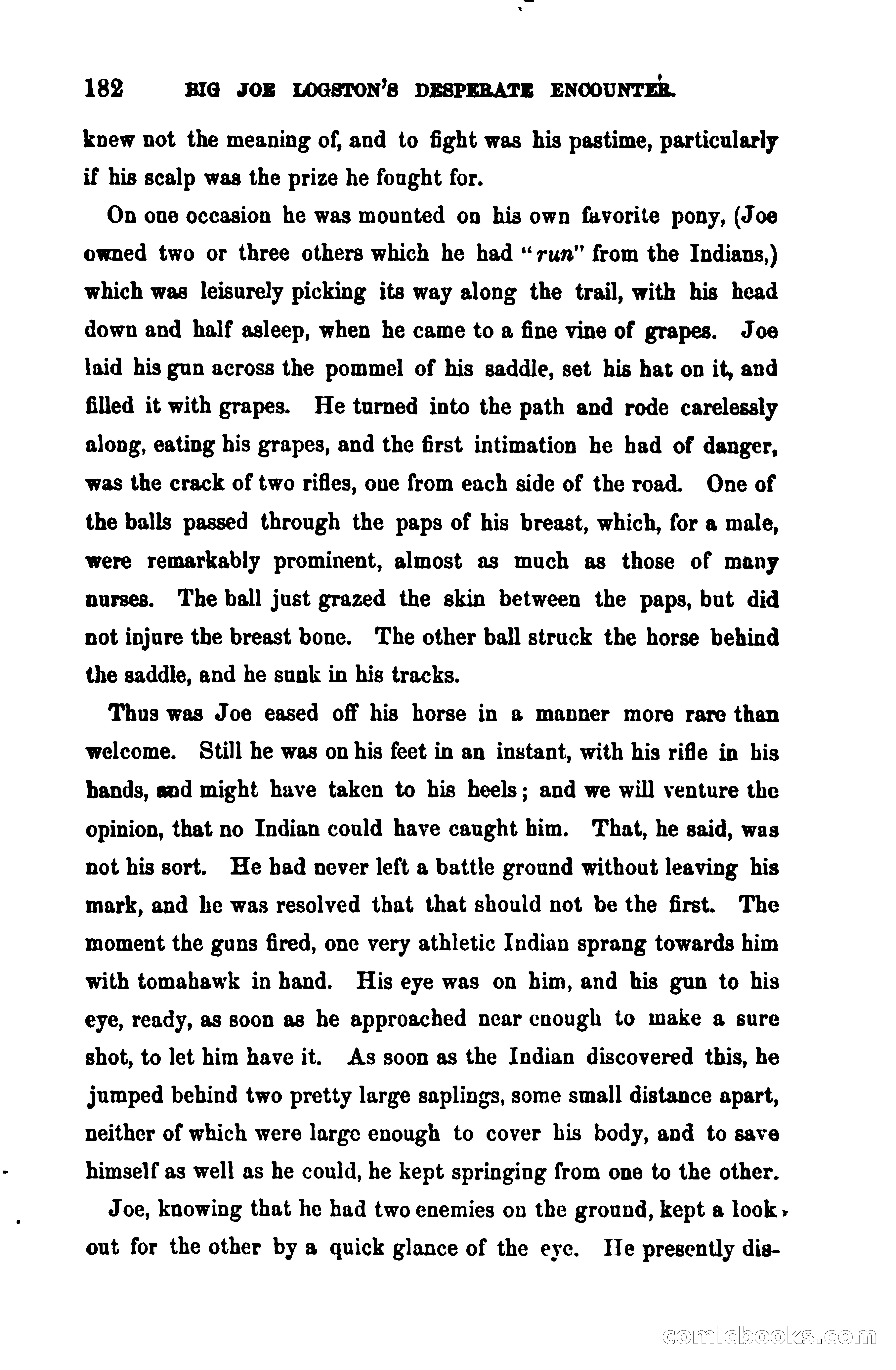 Thrilling Adventures Among the Early Settlers — page 189 of 390