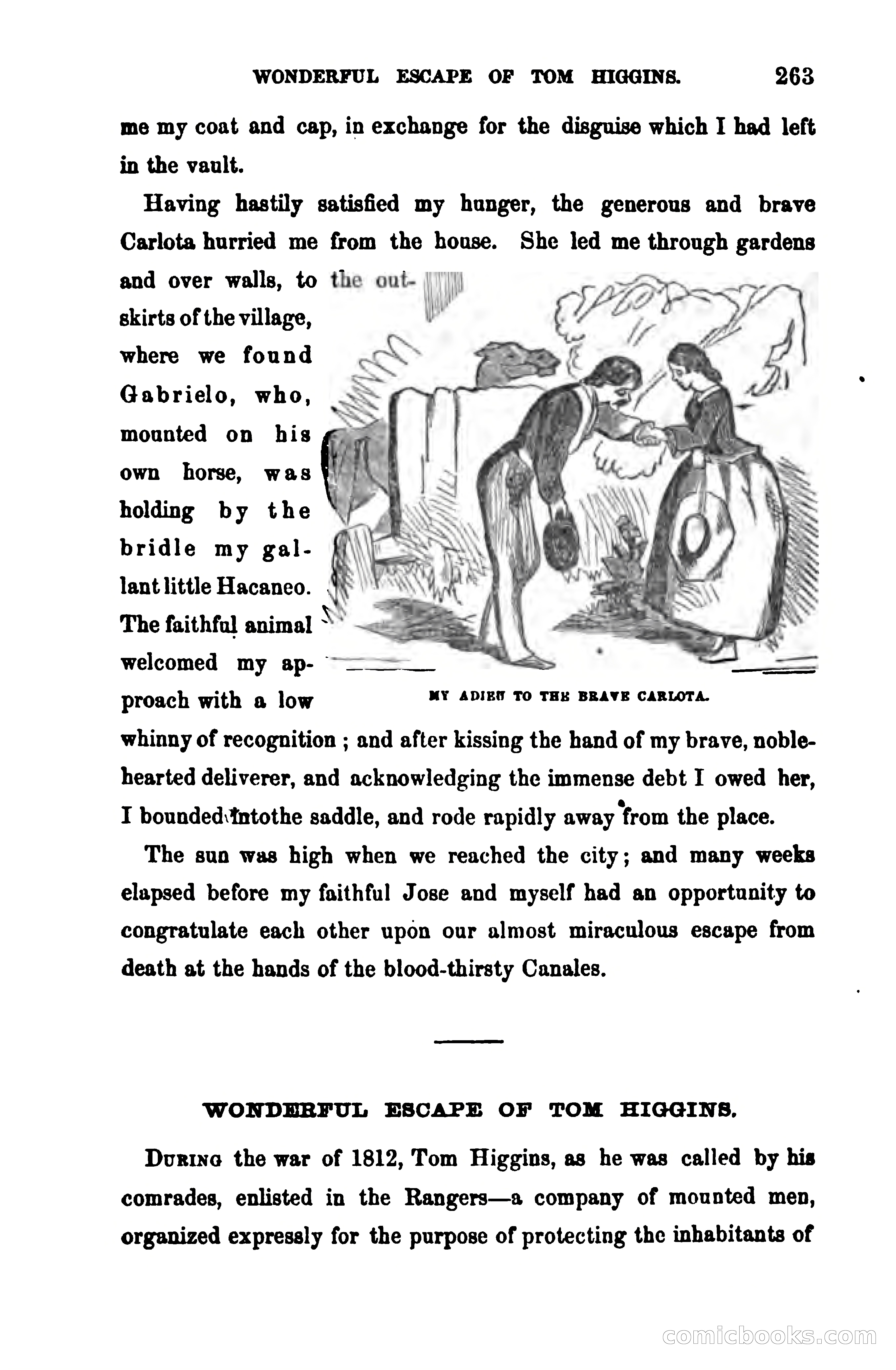 Thrilling Adventures Among the Early Settlers — page 270 of 390