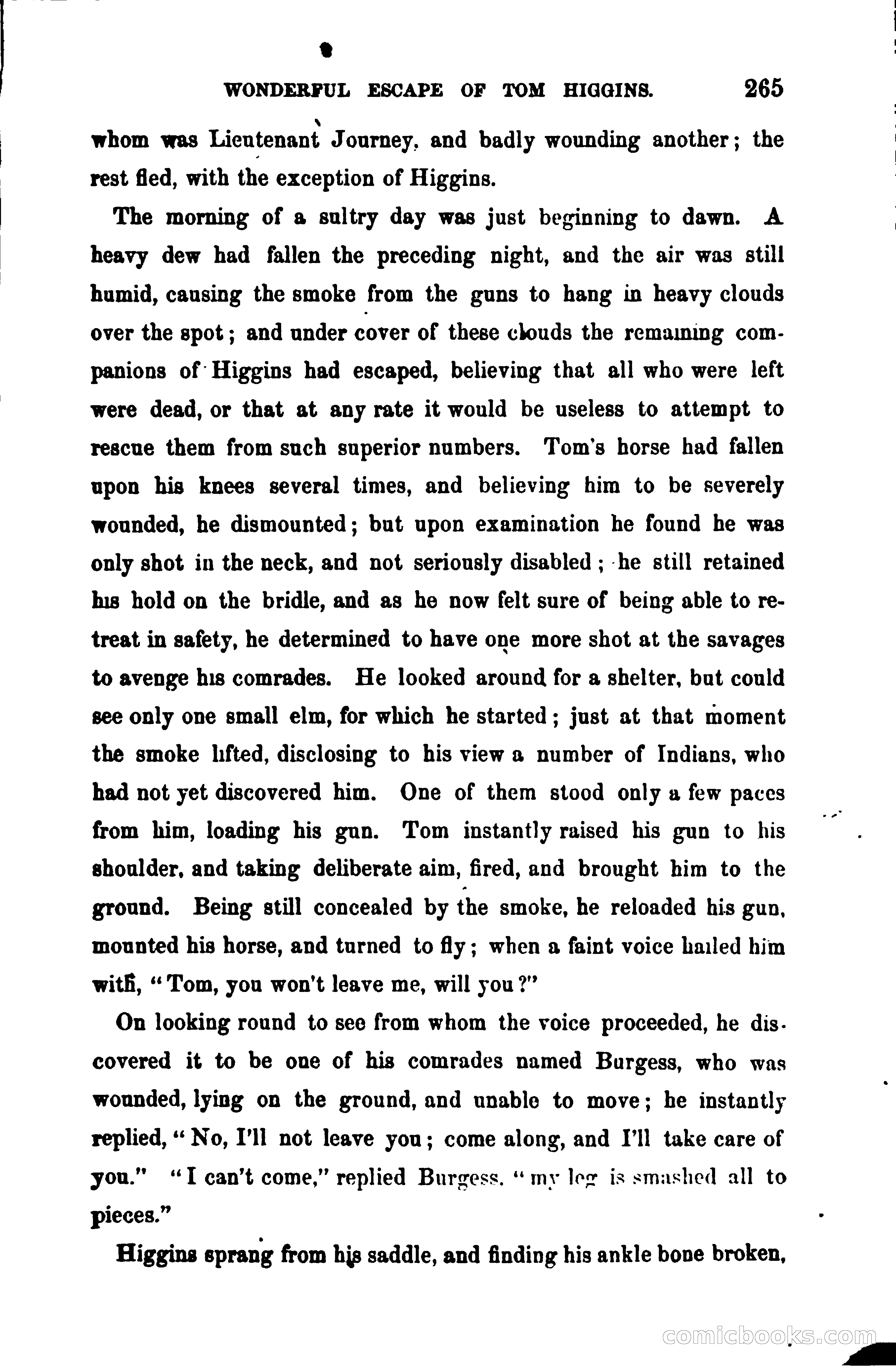Thrilling Adventures Among the Early Settlers — page 272 of 390