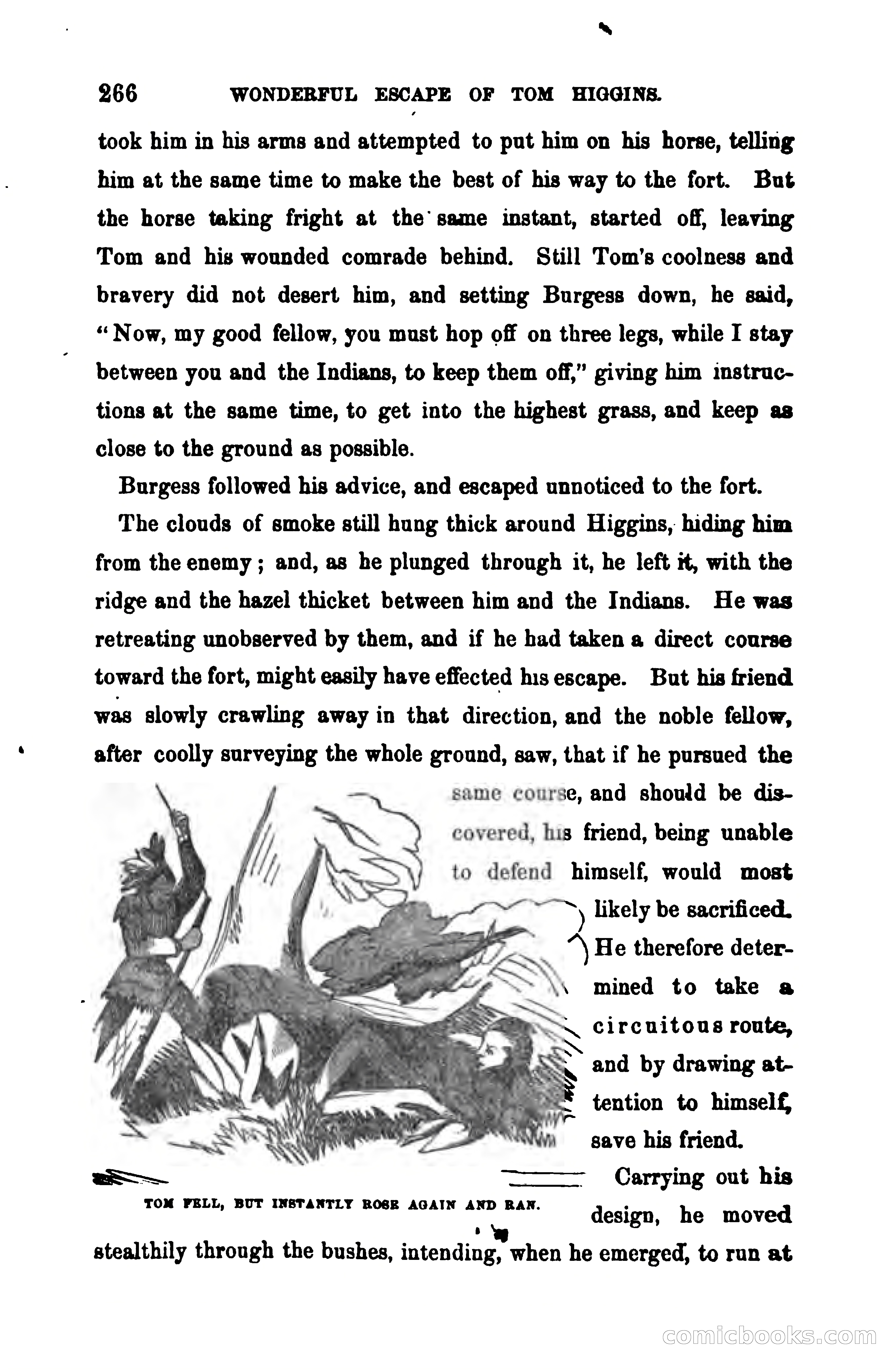 Thrilling Adventures Among the Early Settlers — page 273 of 390