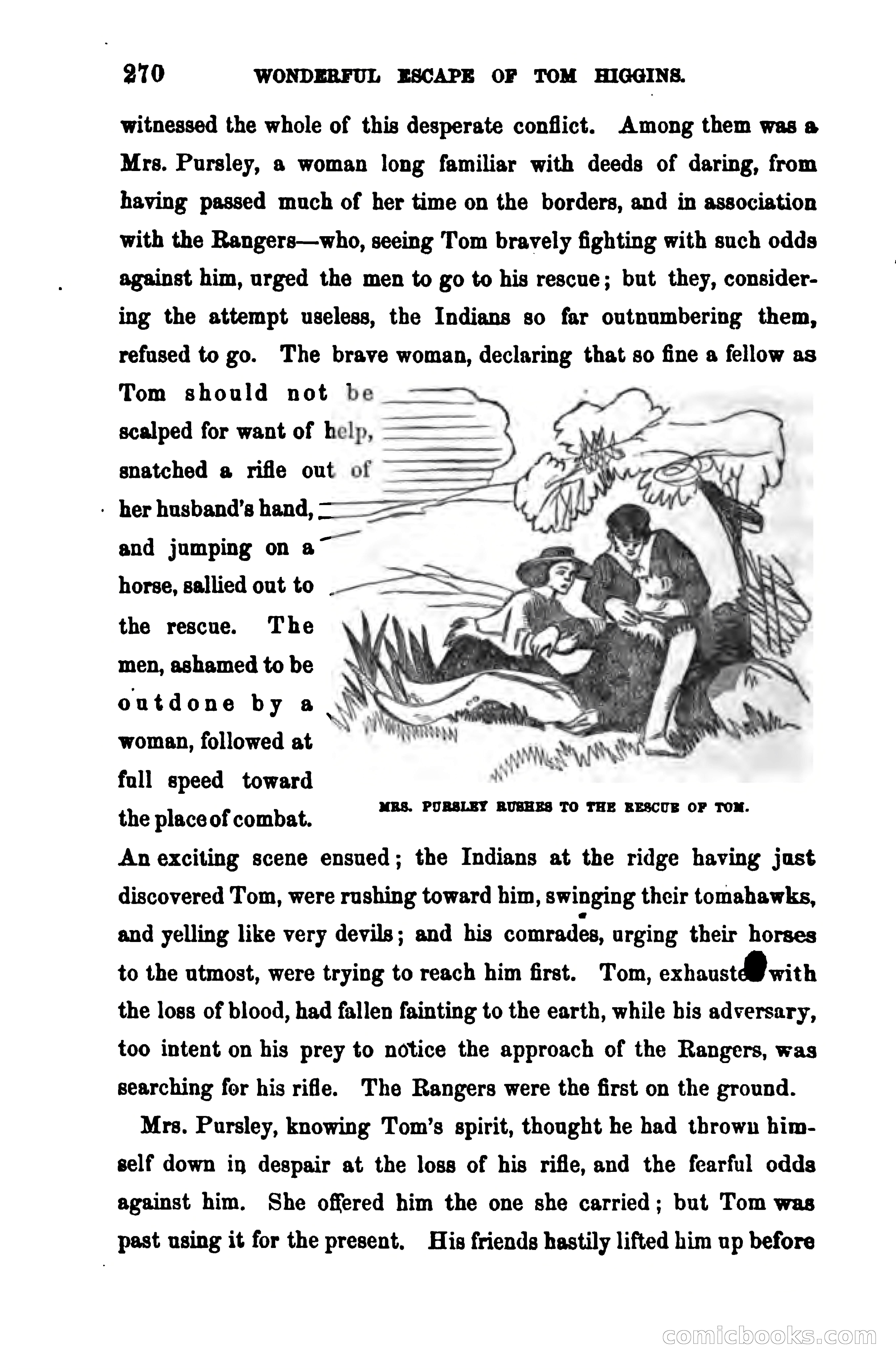 Thrilling Adventures Among the Early Settlers — page 277 of 390