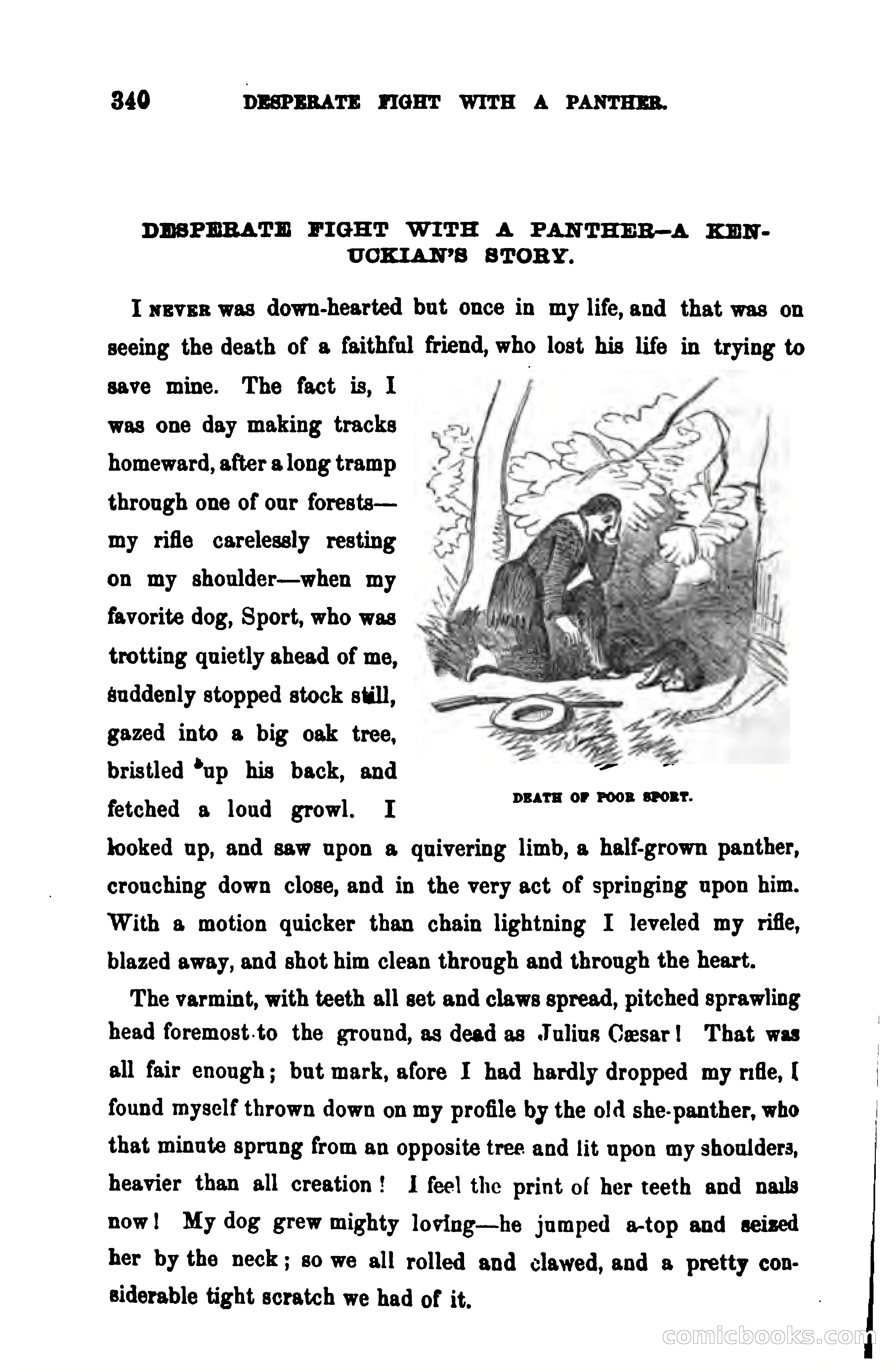 Thrilling Adventures Among the Early Settlers — page 347 of 390
