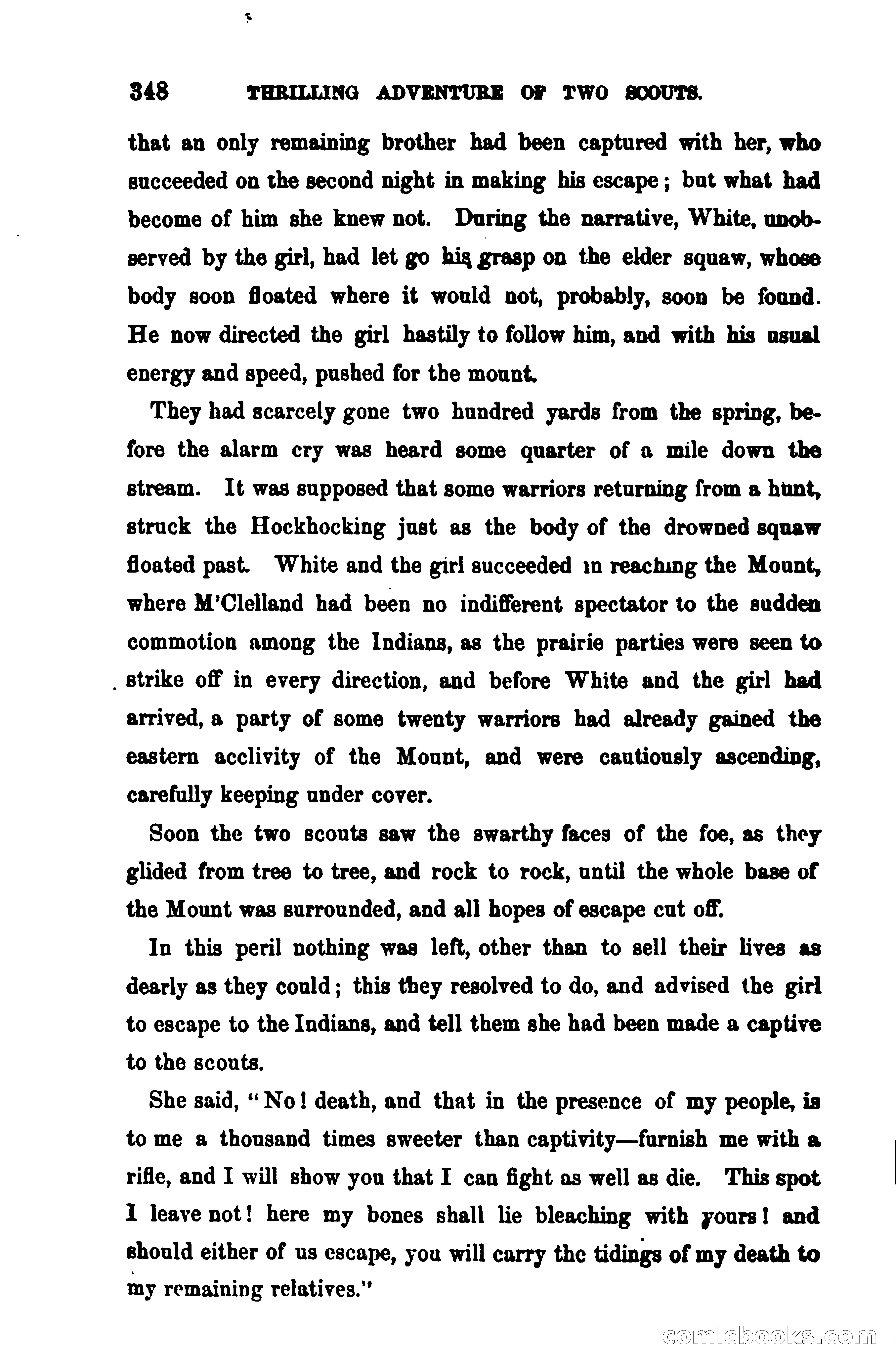 Thrilling Adventures Among the Early Settlers — page 355 of 390