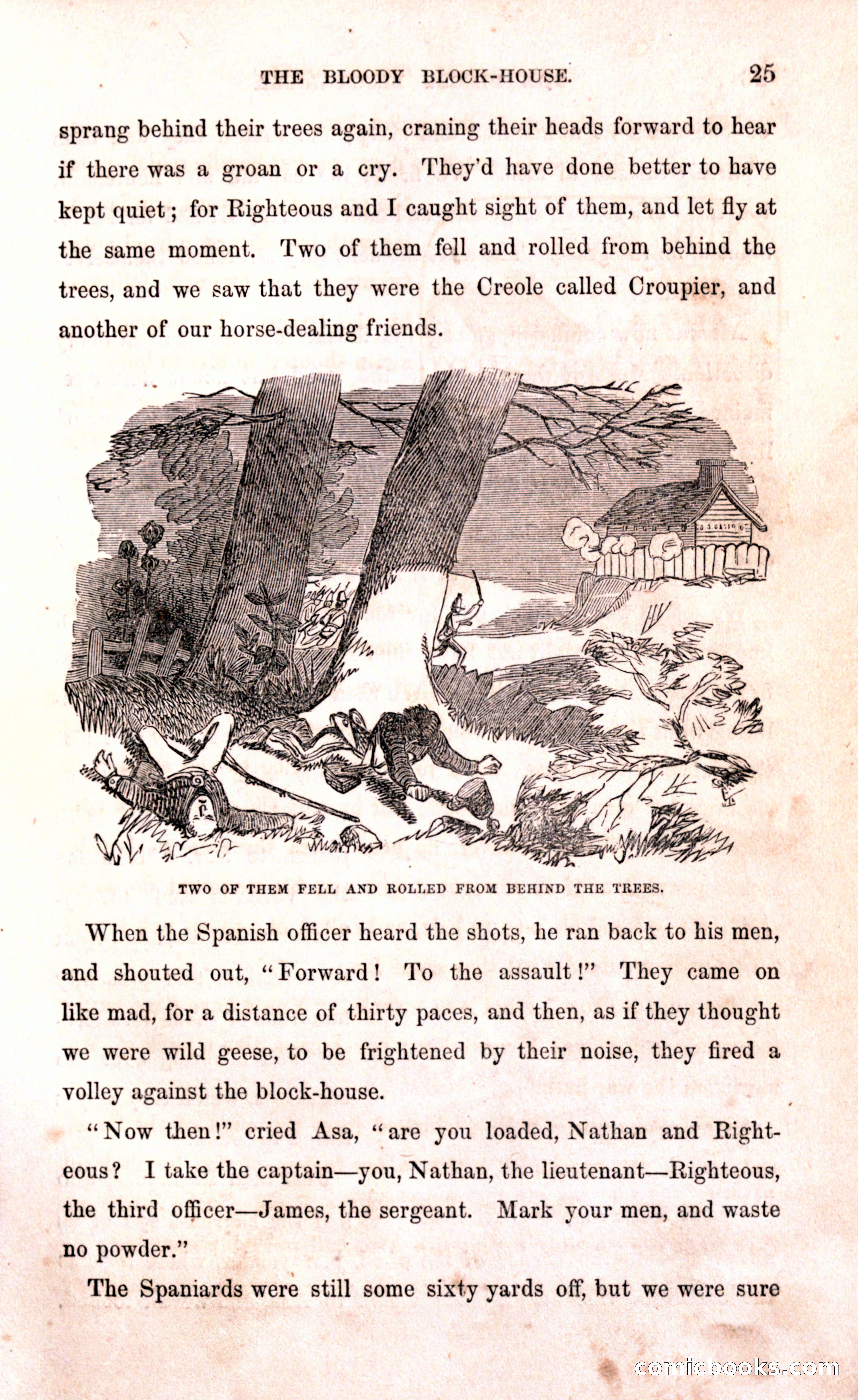 Thrilling Adventures Among the Early Settlers — page 31 of 394
