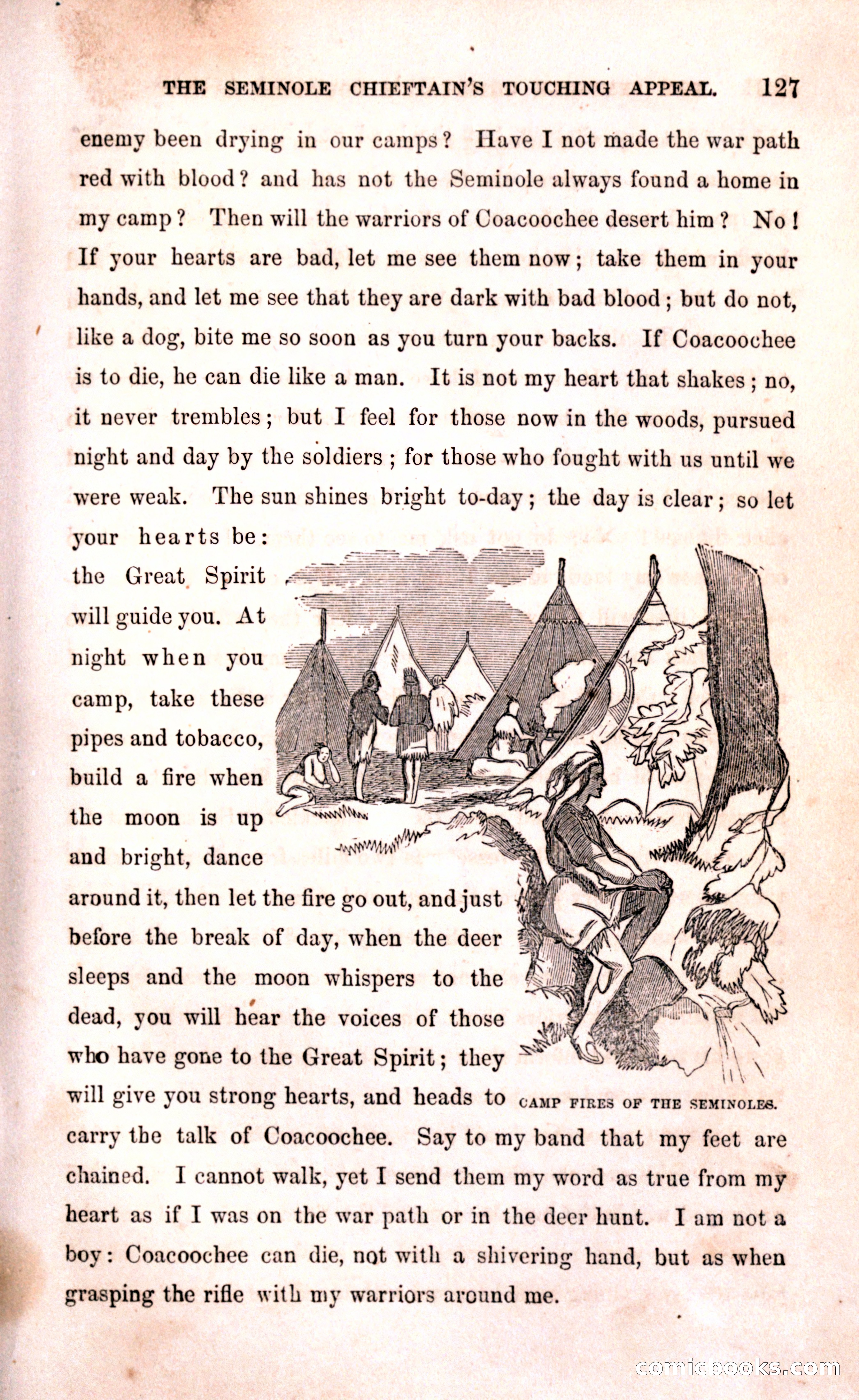 Thrilling Adventures Among the Early Settlers — page 133 of 394