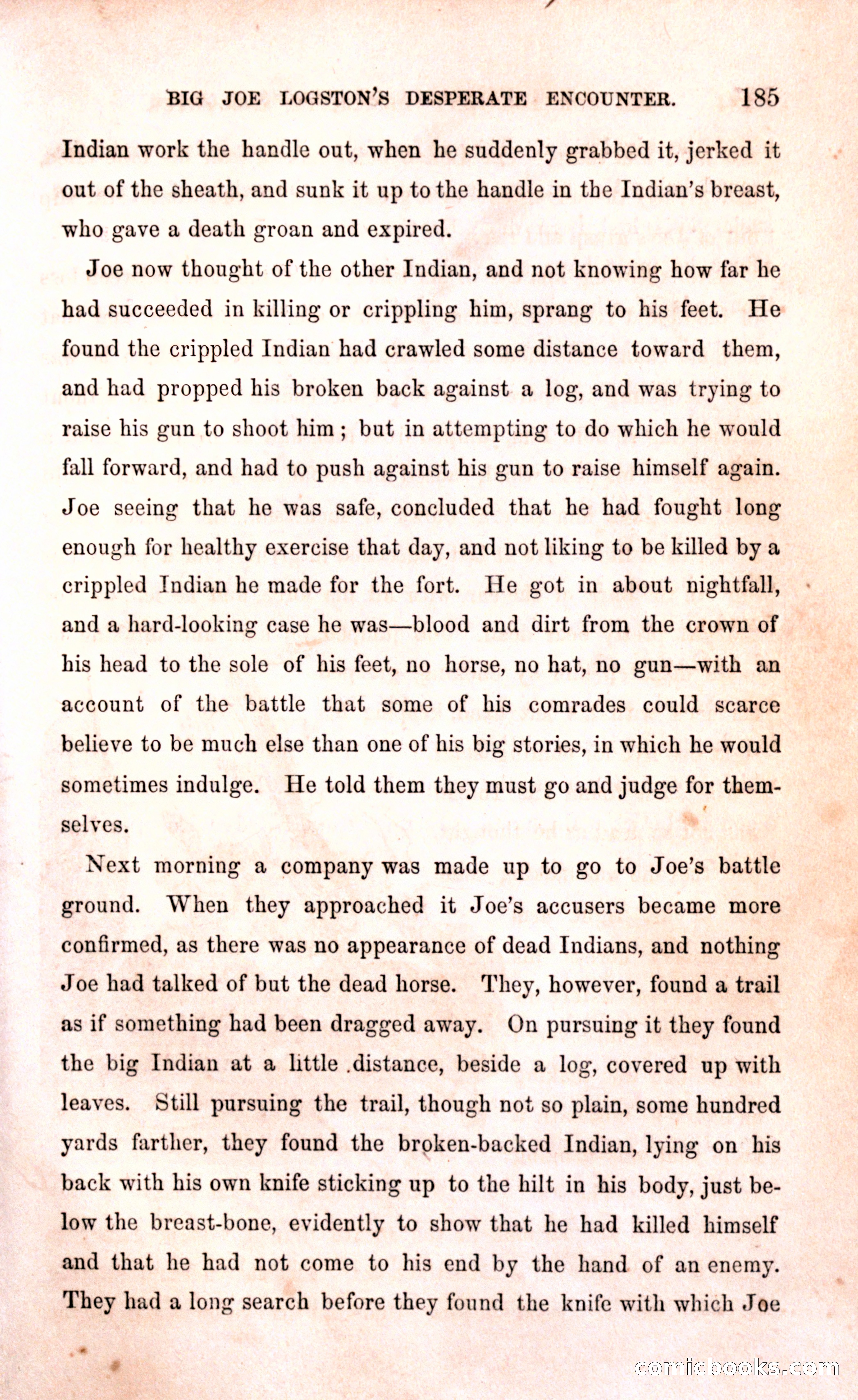 Thrilling Adventures Among the Early Settlers — page 191 of 394