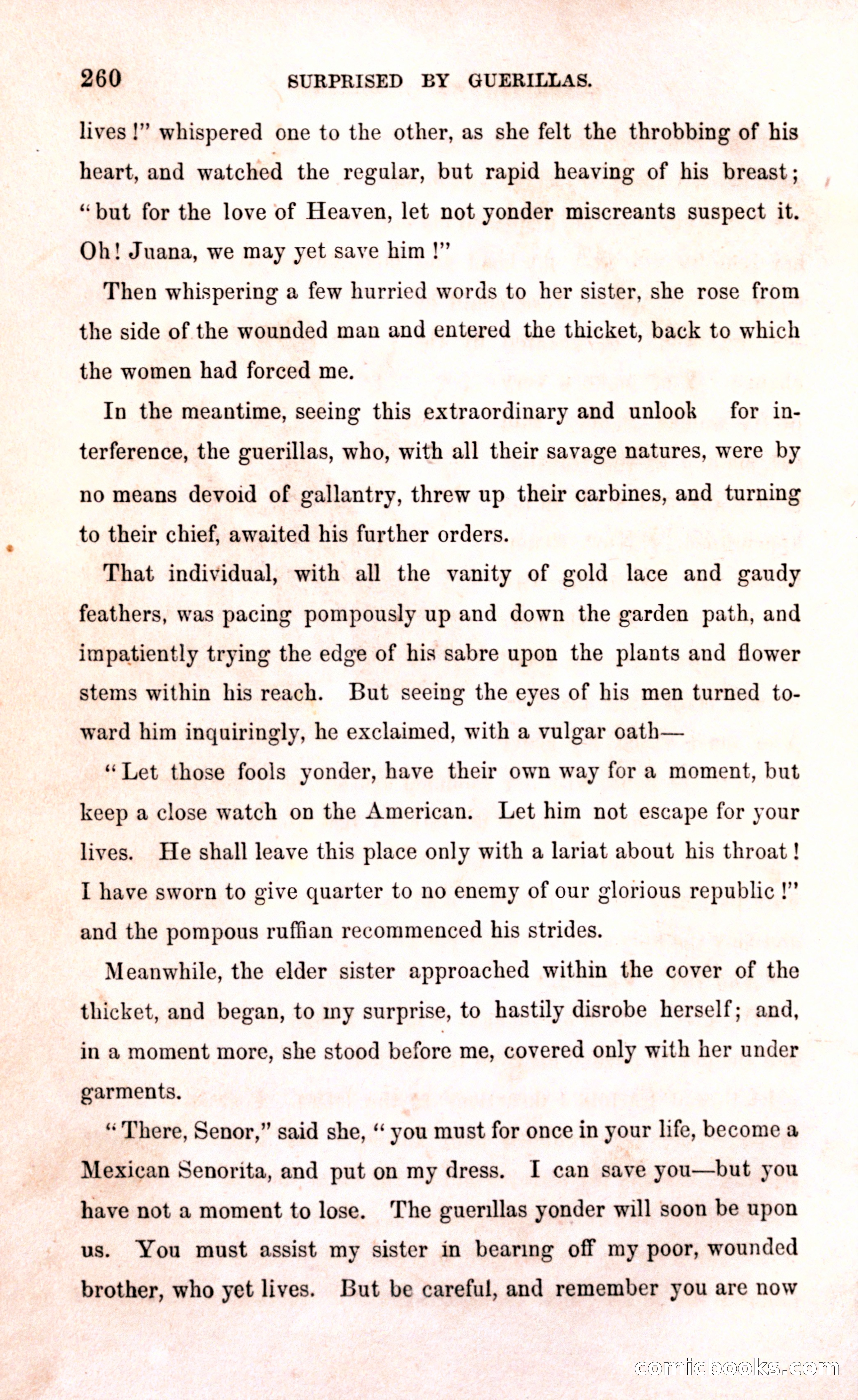 Thrilling Adventures Among the Early Settlers — page 266 of 394