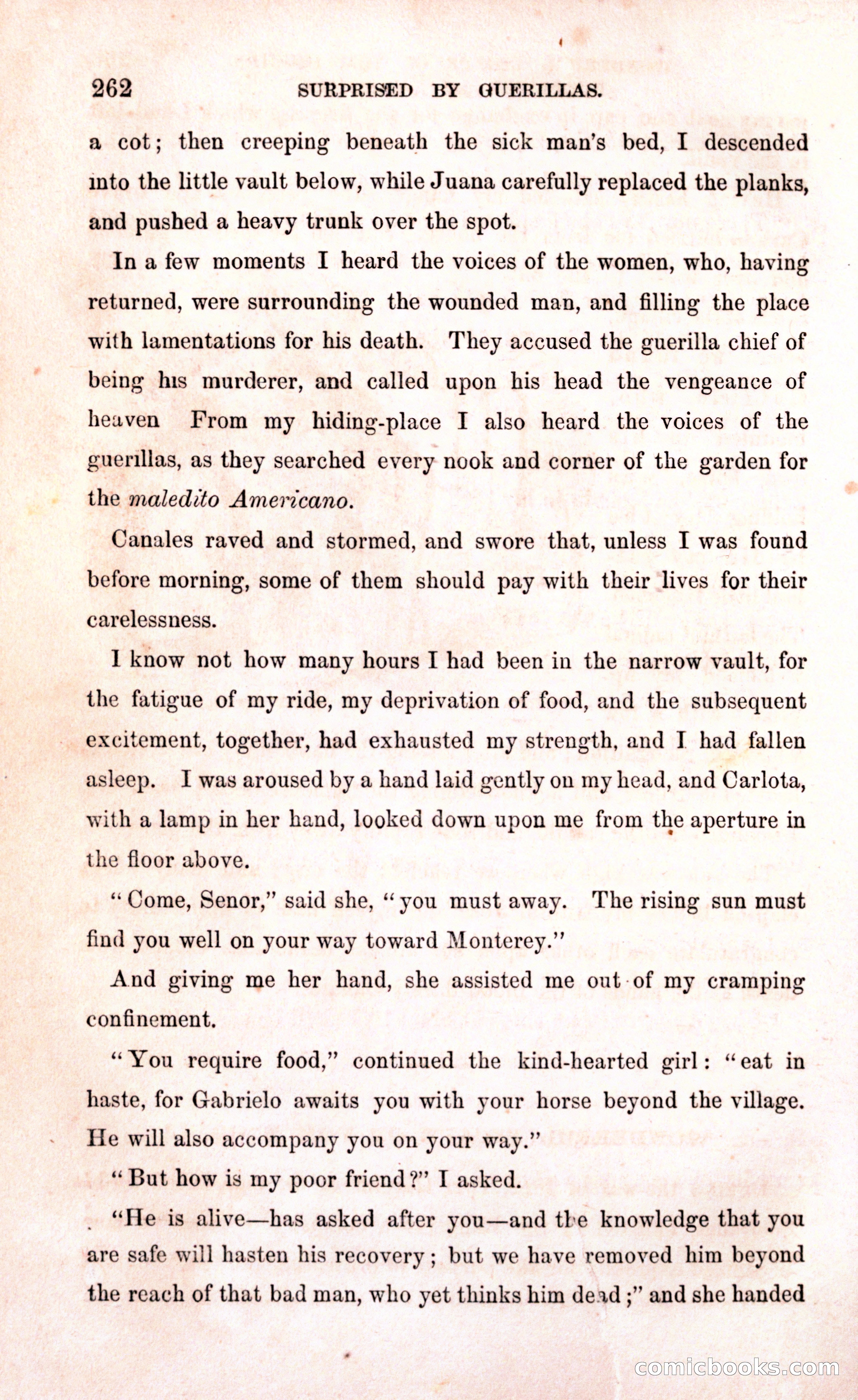 Thrilling Adventures Among the Early Settlers — page 268 of 394