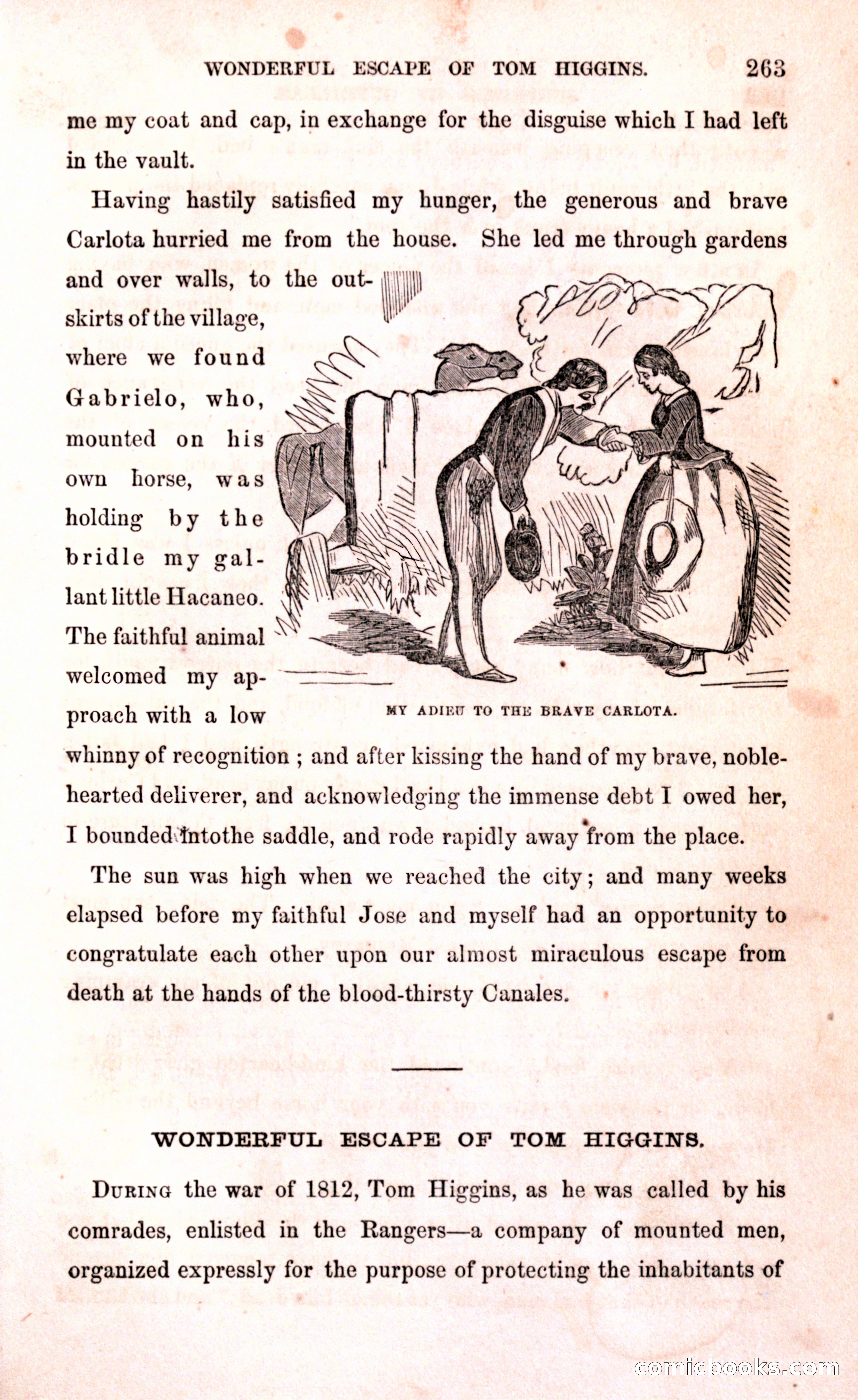 Thrilling Adventures Among the Early Settlers — page 269 of 394