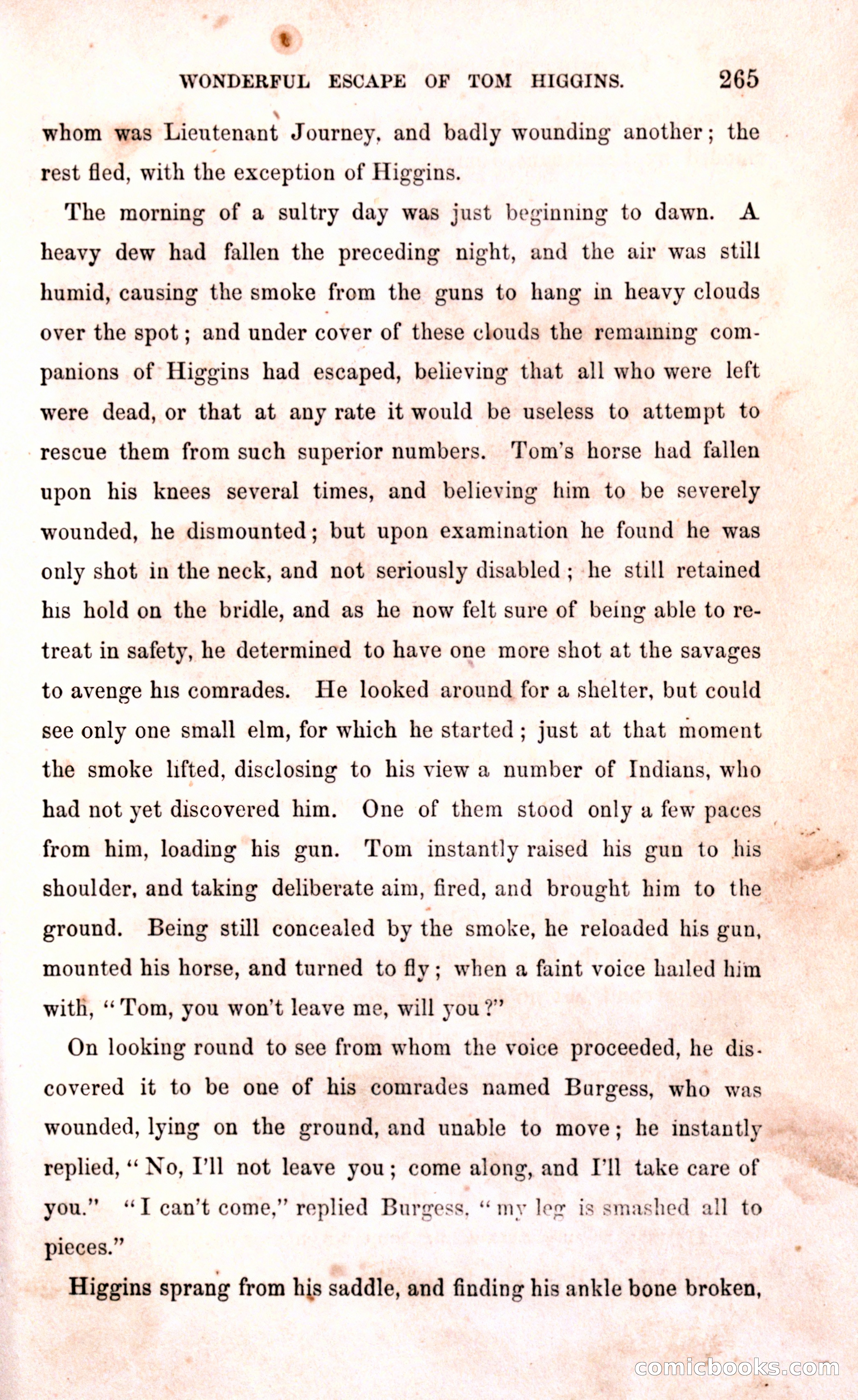 Thrilling Adventures Among the Early Settlers — page 271 of 394
