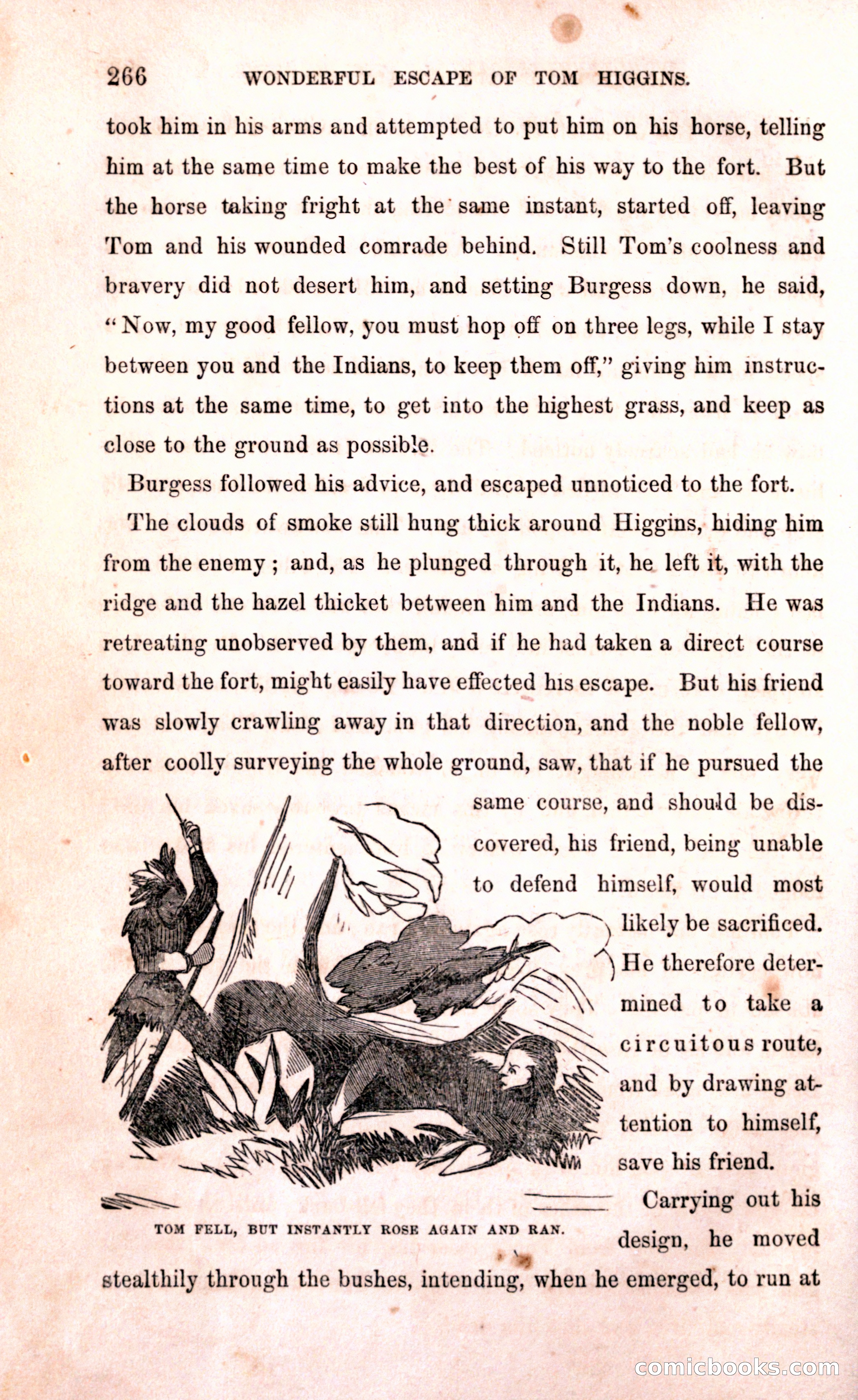 Thrilling Adventures Among the Early Settlers — page 272 of 394