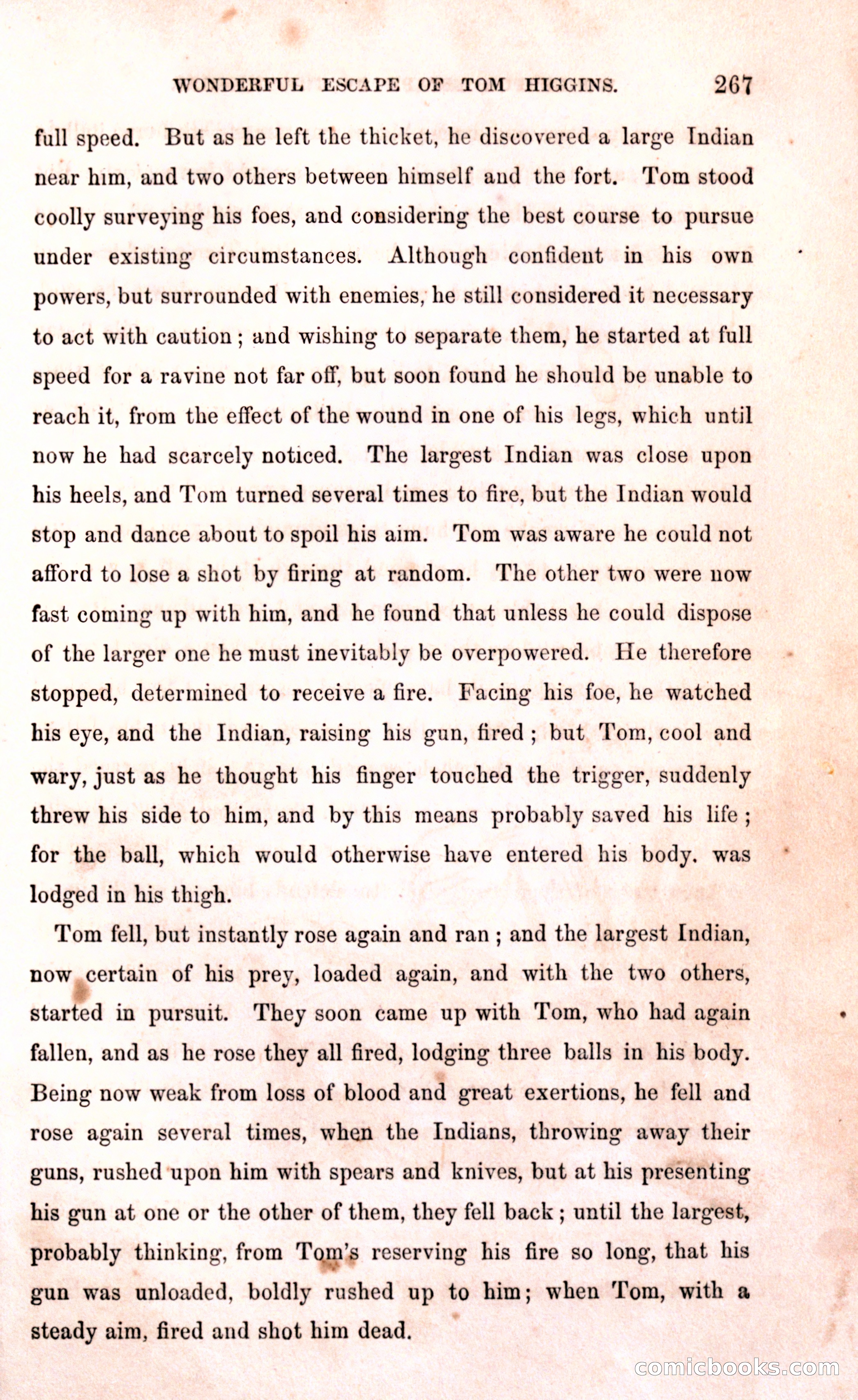 Thrilling Adventures Among the Early Settlers — page 273 of 394